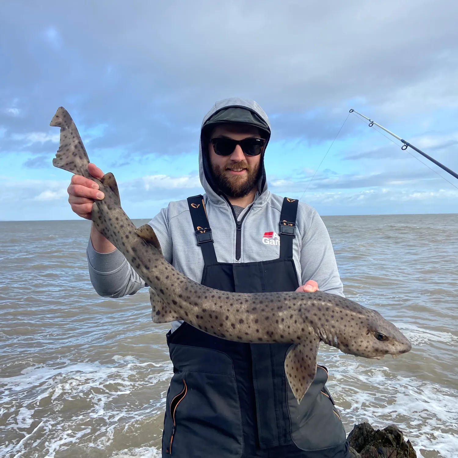 The most recent Blackspotted catshark catches on Fishbrain