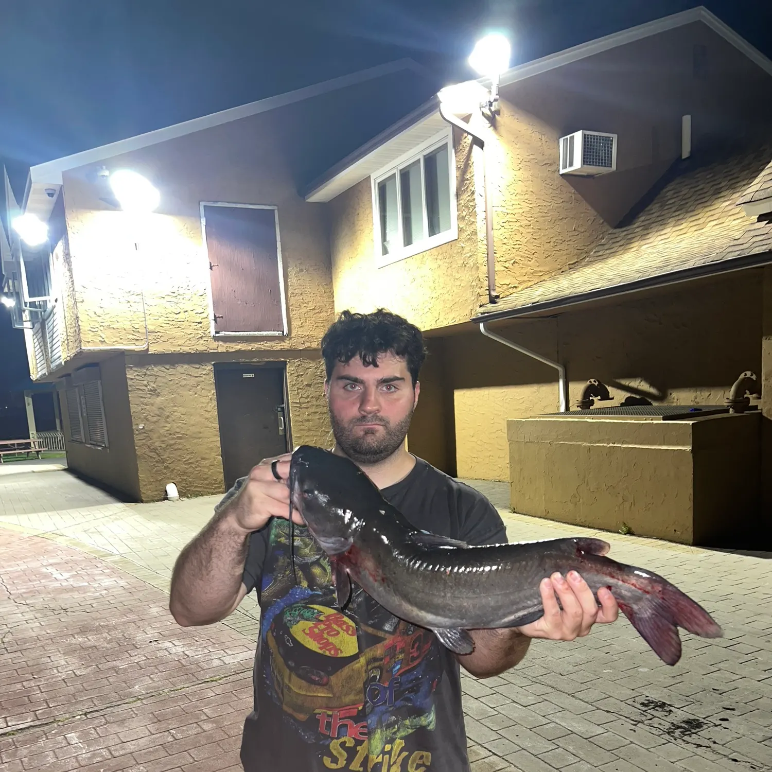Channel catfish caught on Fishbrain