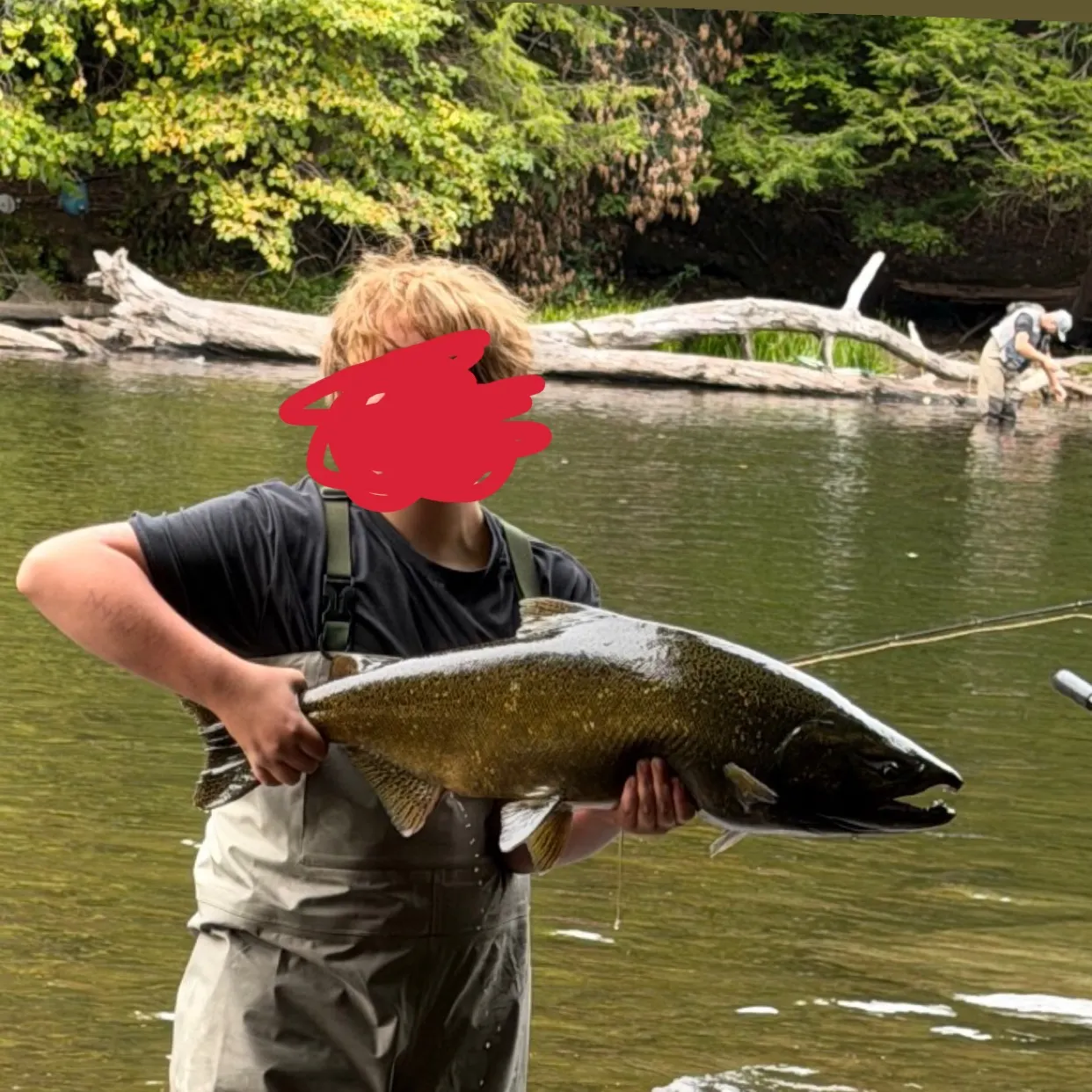 Chinook salmon caught on Fishbrain