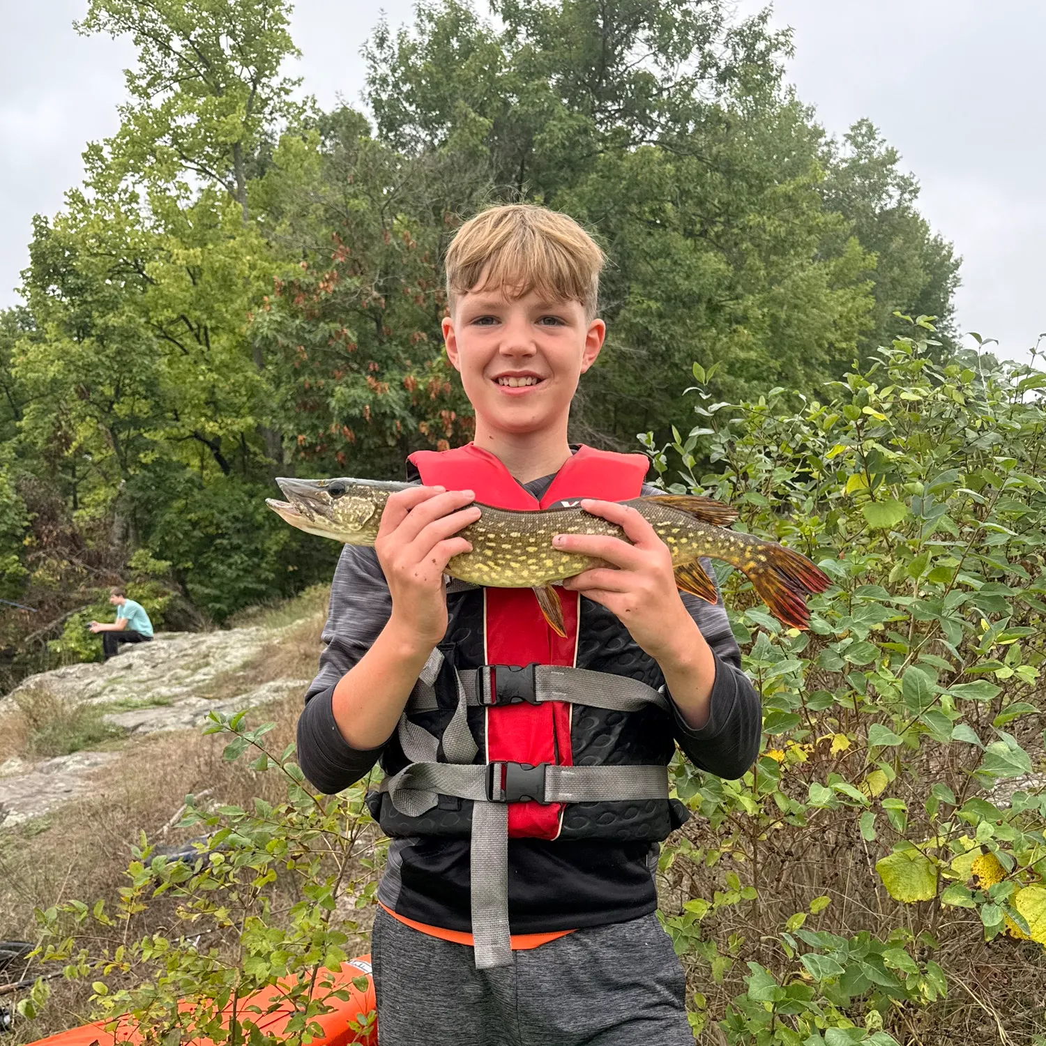 Northern pike caught on Fishbrain