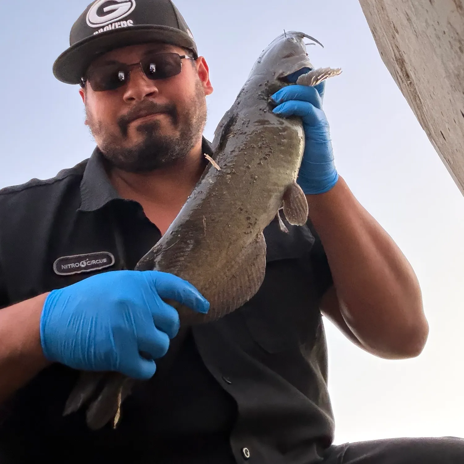 Channel catfish caught on Fishbrain