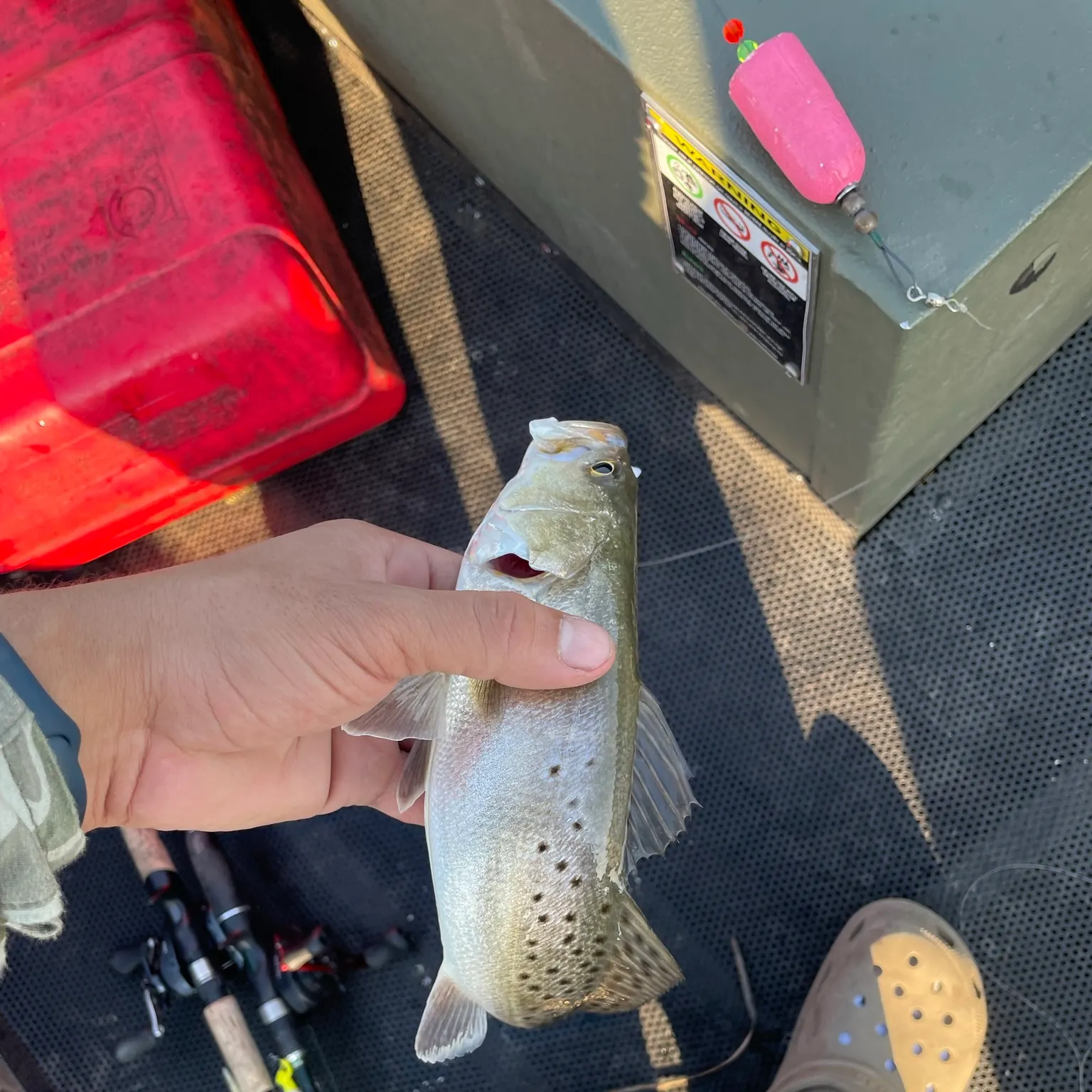 catch