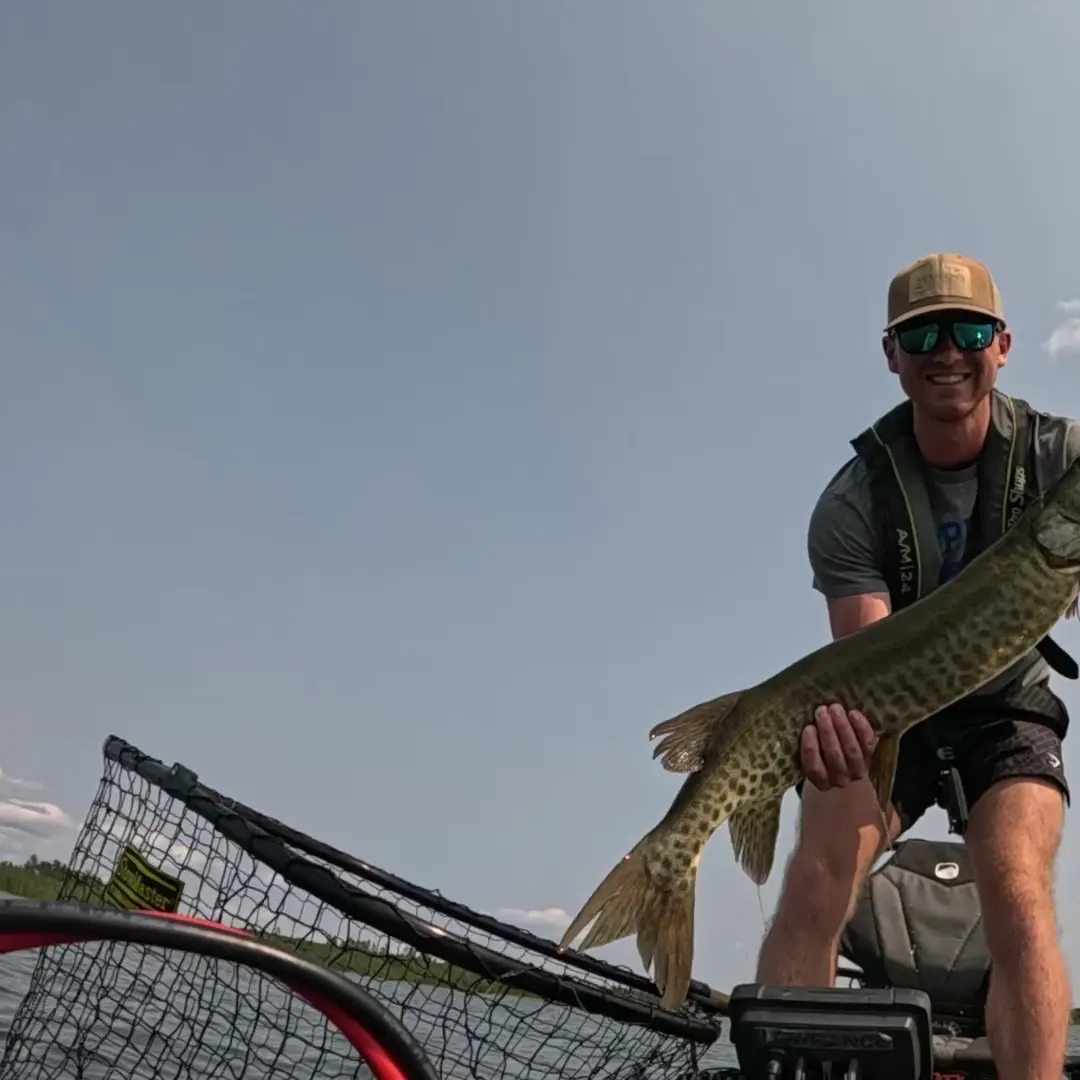 Muskie caught on Fishbrain