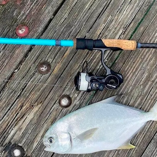 The most recent Florida pompano catches on Fishbrain