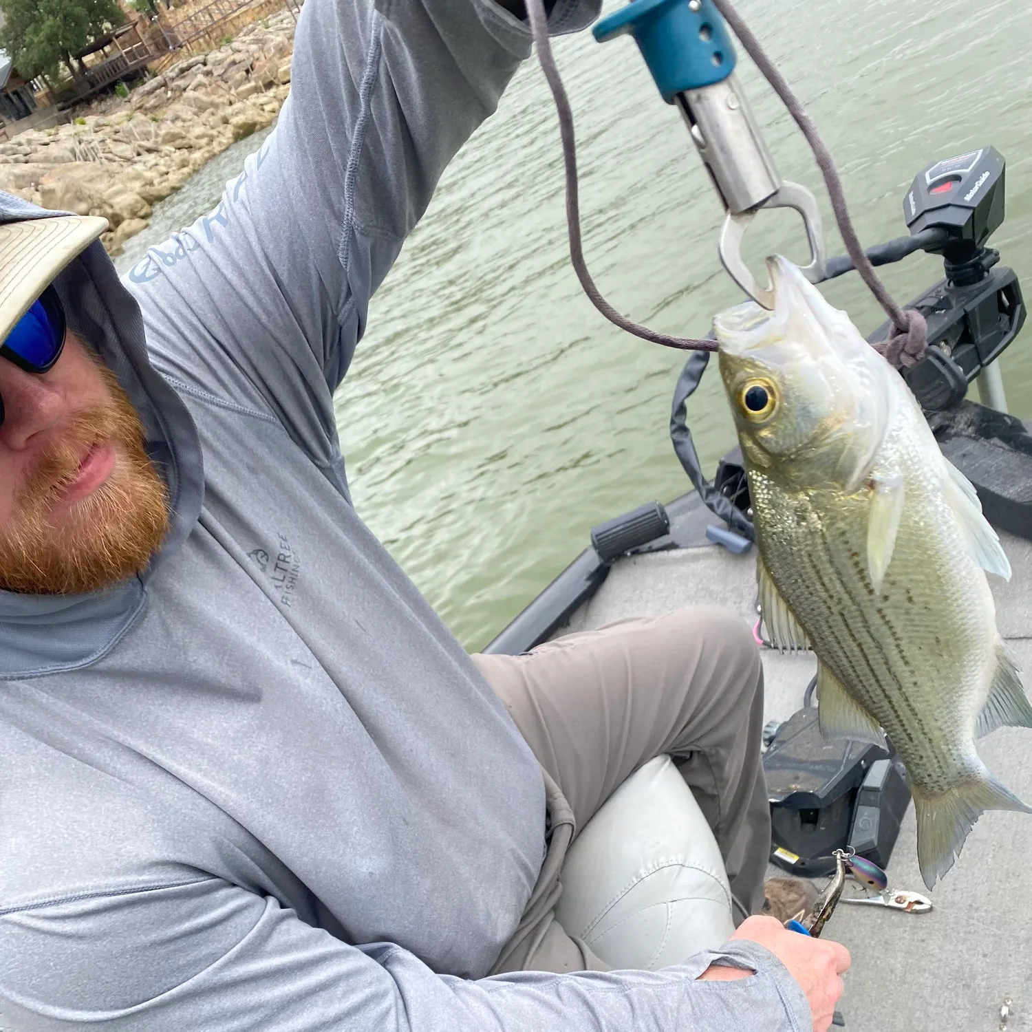 White bass caught on Fishbrain