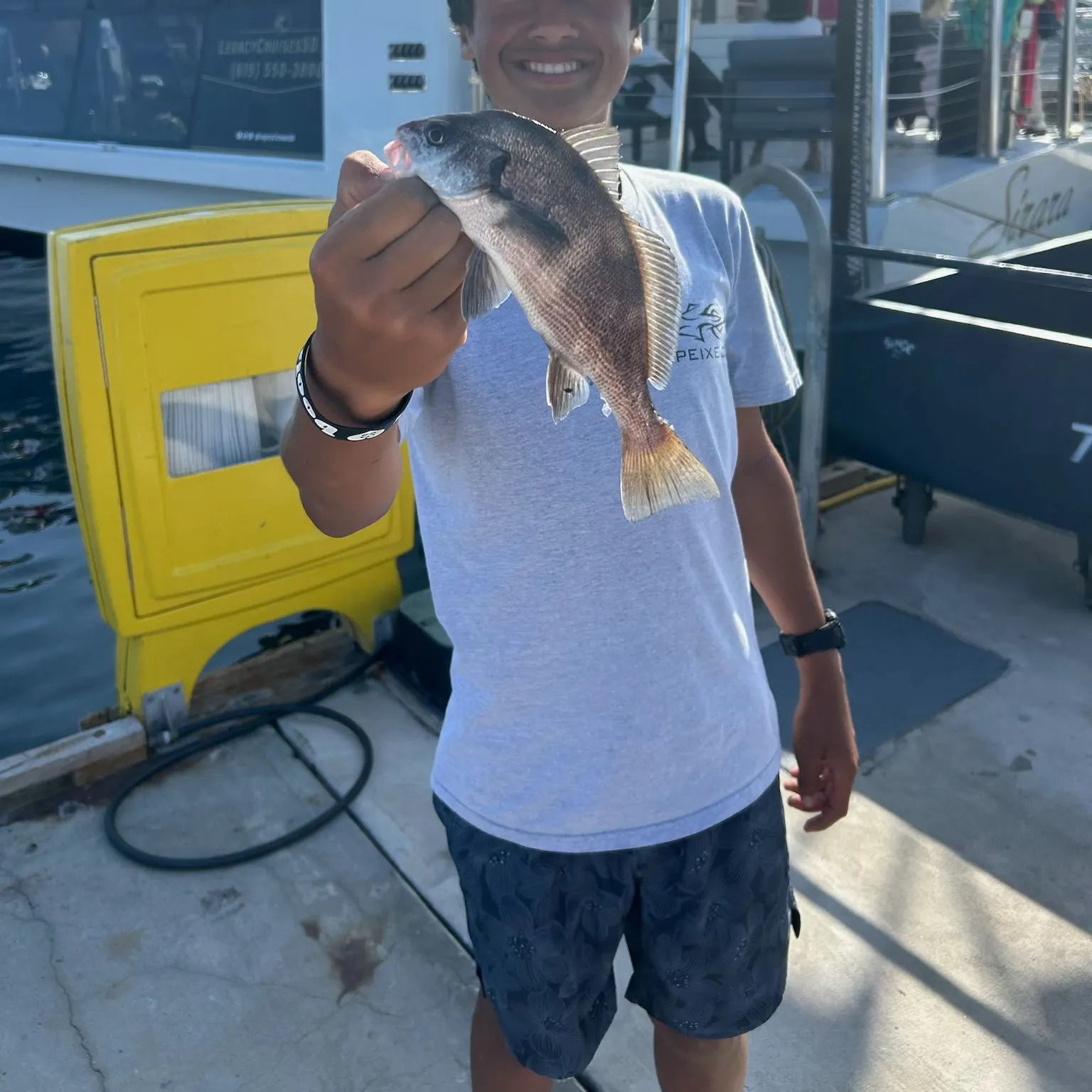 The most recent Black croaker catches on Fishbrain