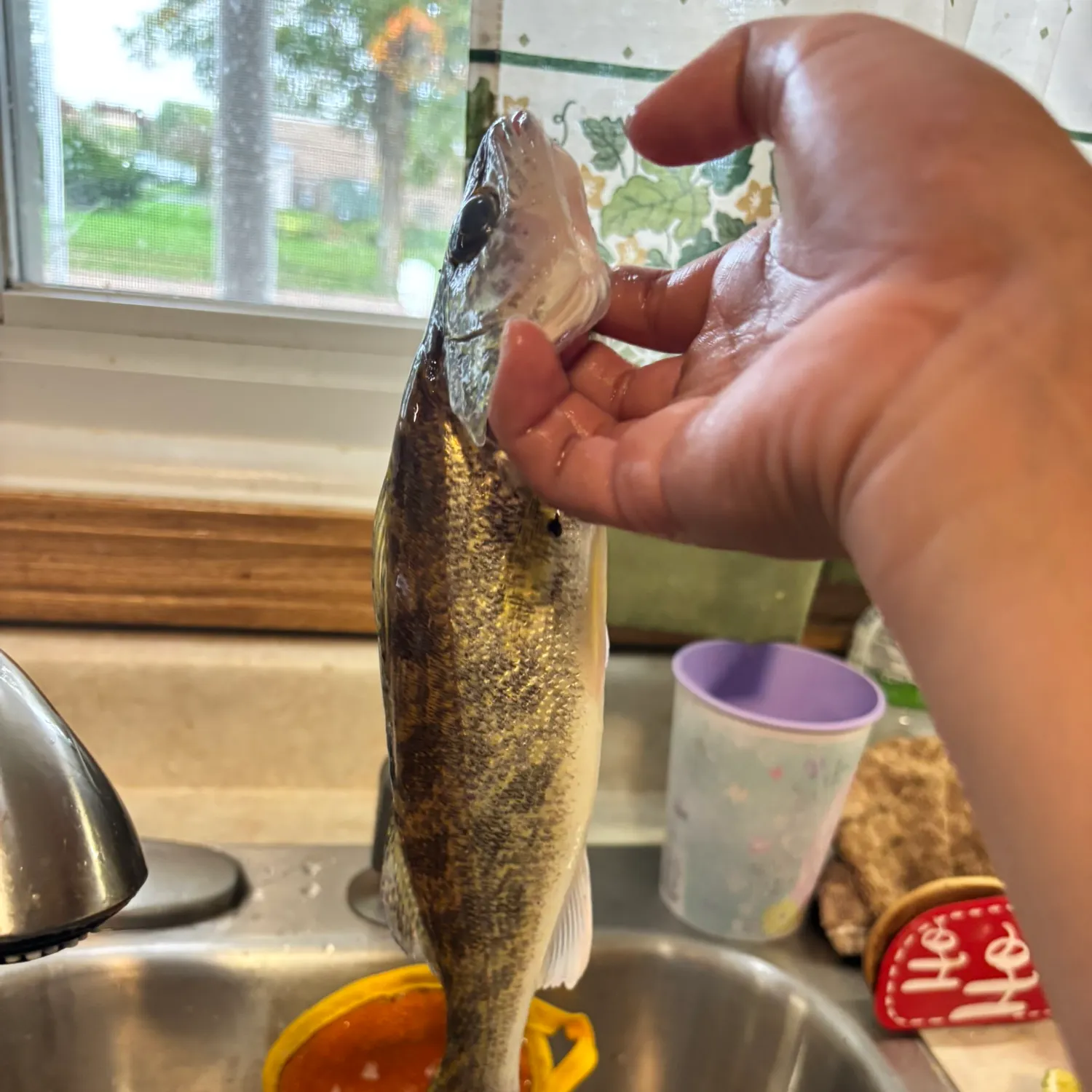 catch
