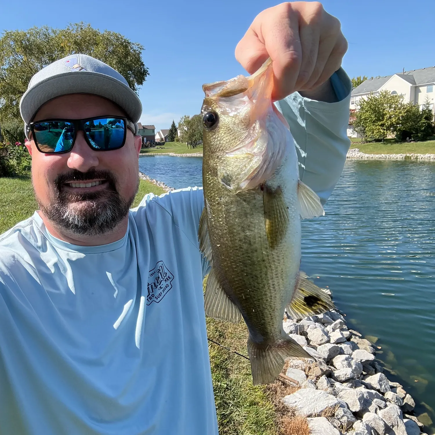 Largemouth bass caught on Fishbrain