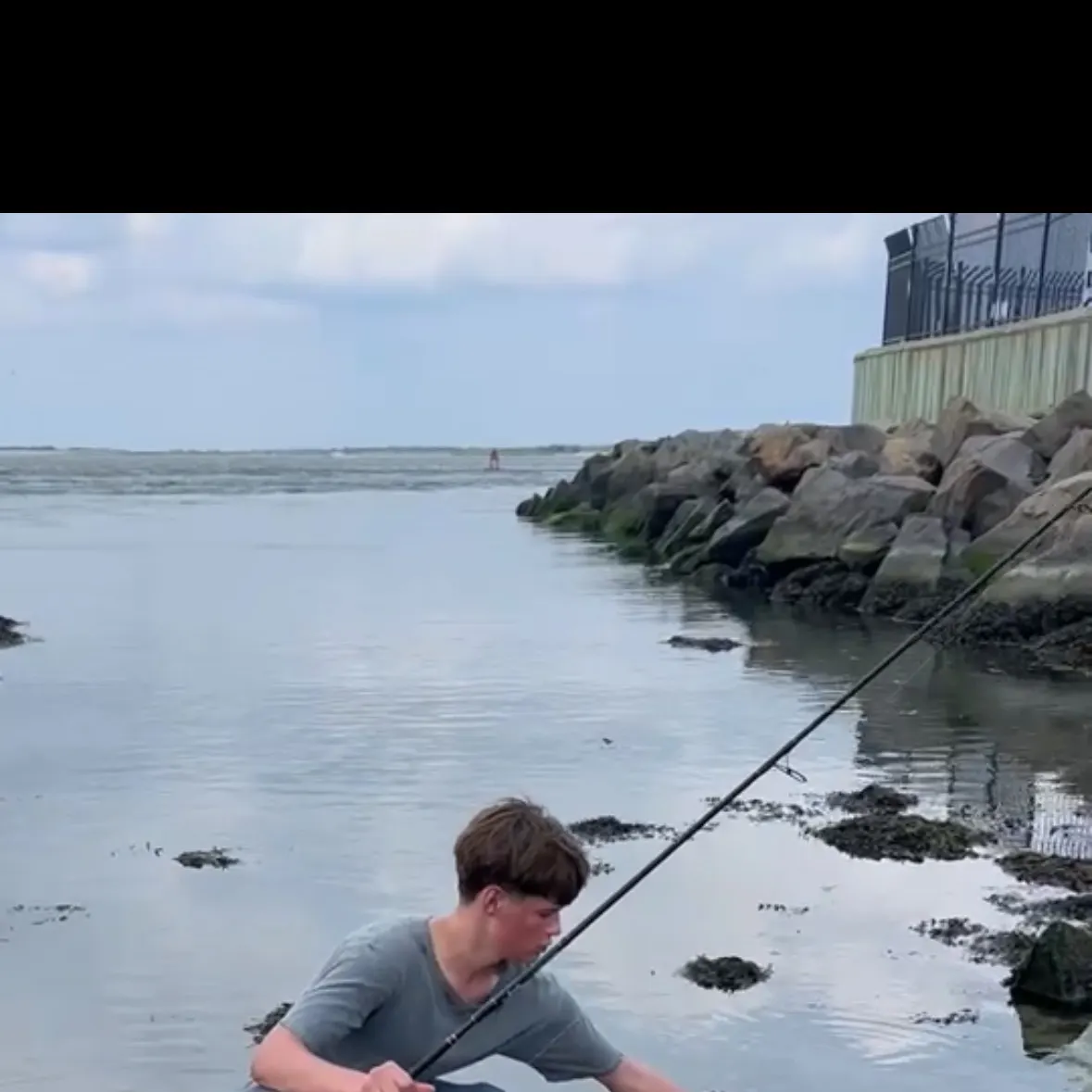 The most recent Bullnose eagle ray catches on Fishbrain