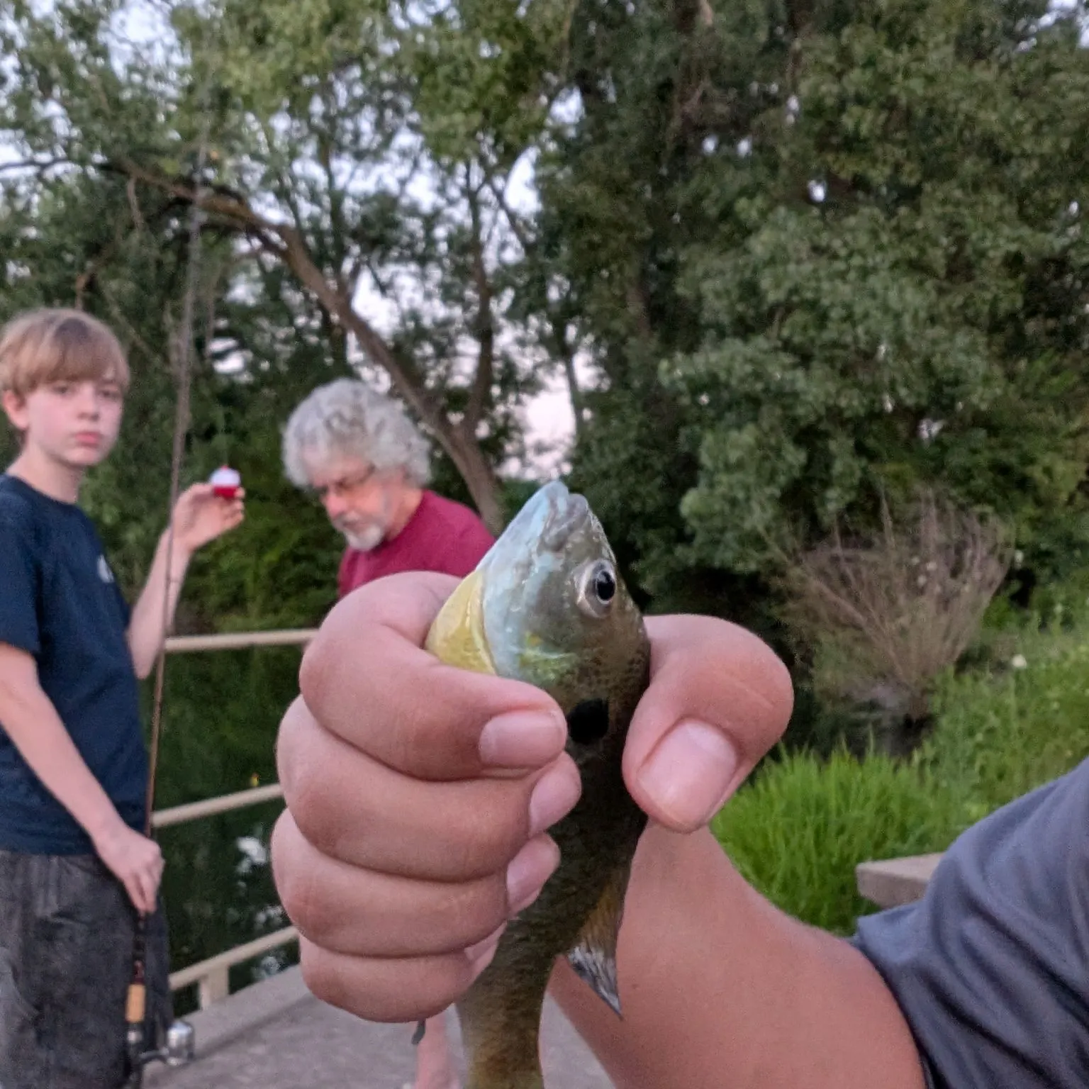 catch