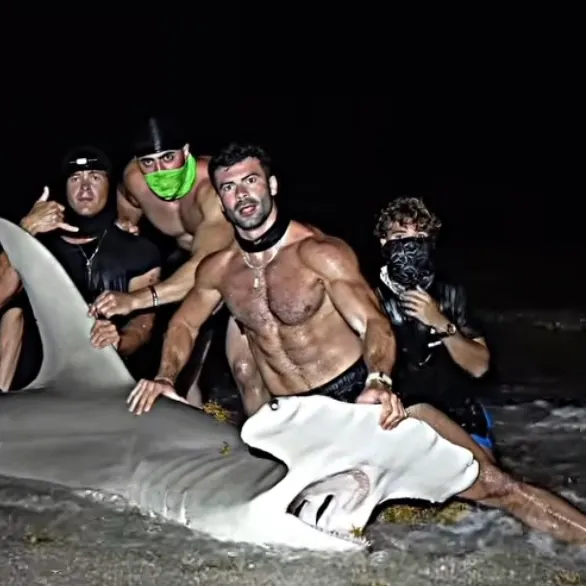 The most recent Great hammerhead shark catches on Fishbrain