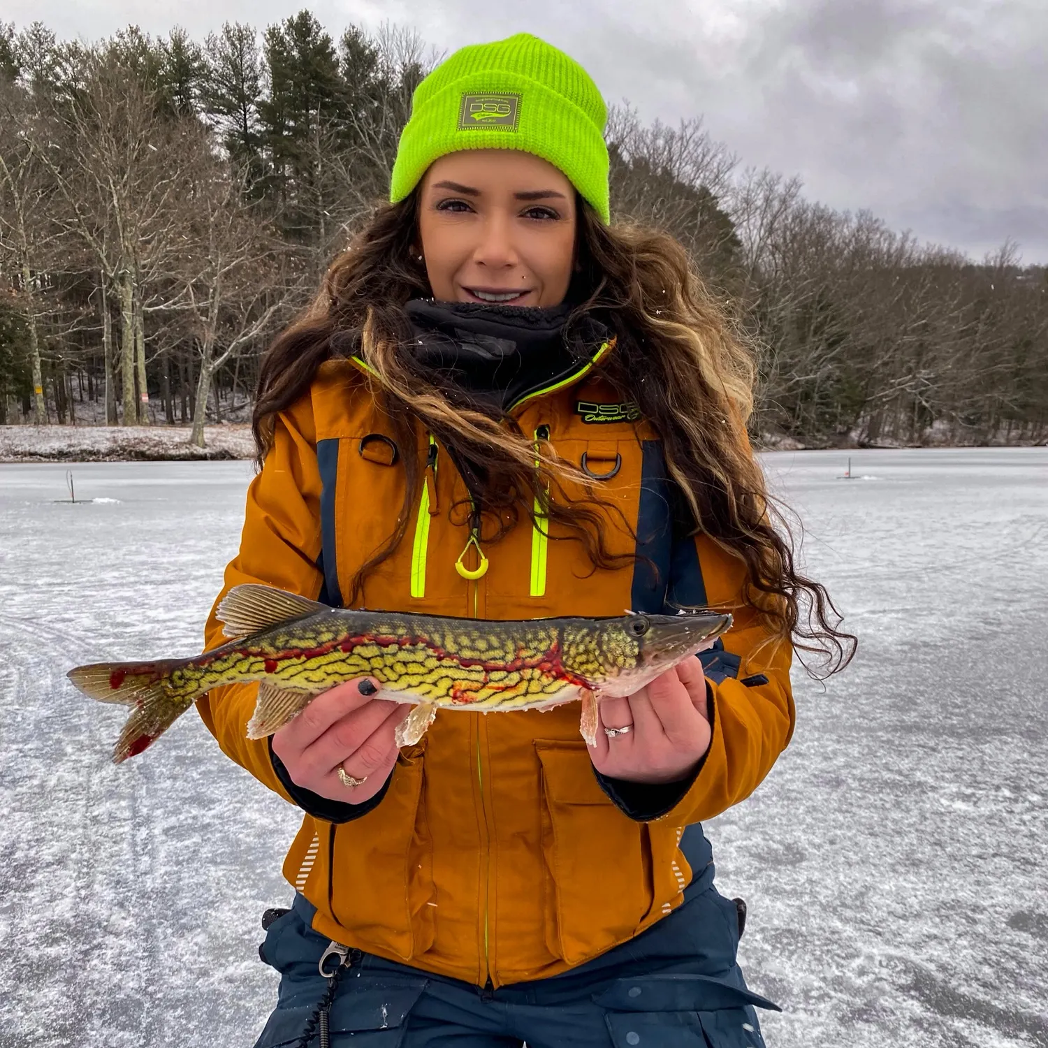The most recent Chain pickerel catches on Fishbrain