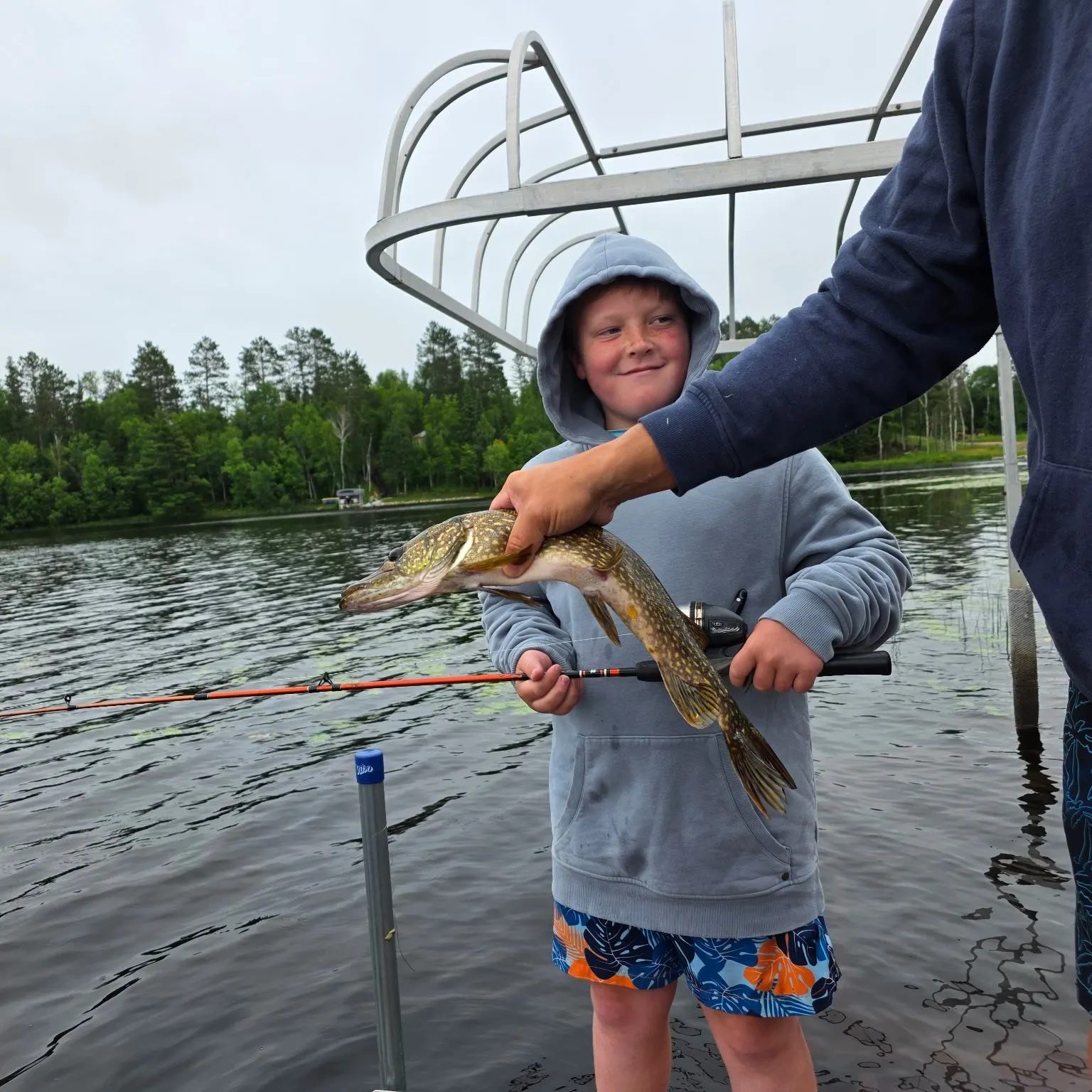 Northern pike caught on Fishbrain