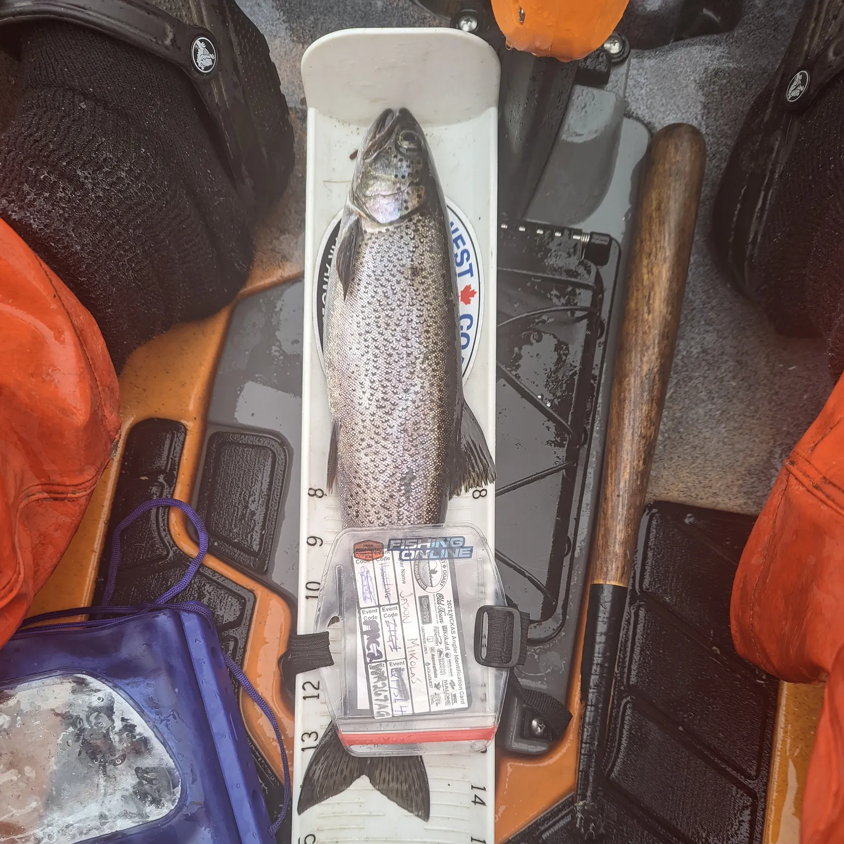 recently logged catches