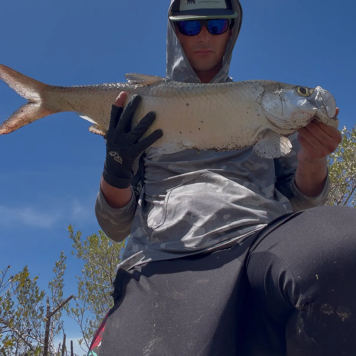 Tarpon caught on Fishbrain