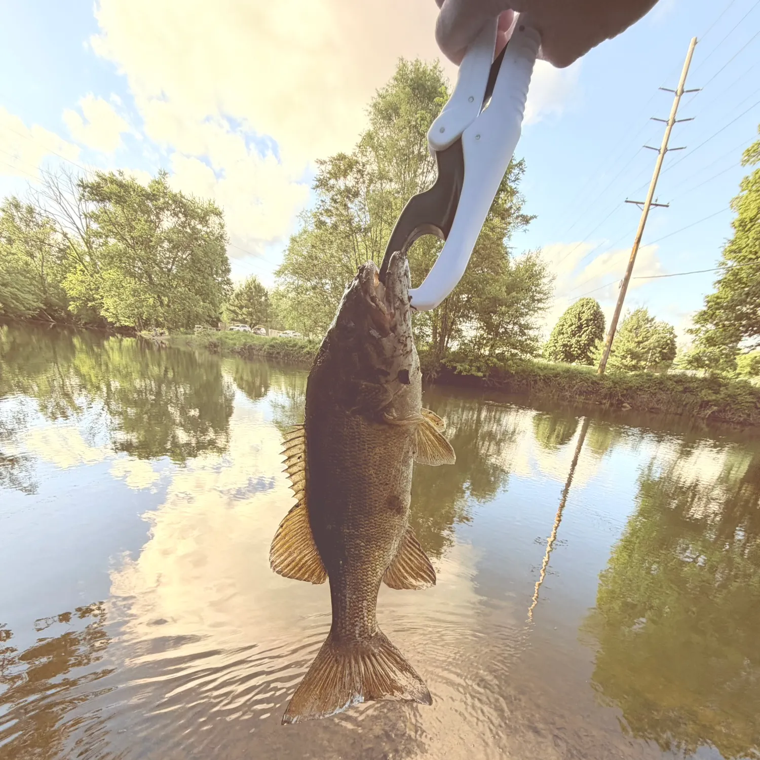 Fishing in Albion, IN (United States)  Find Spots, Species & Tips
