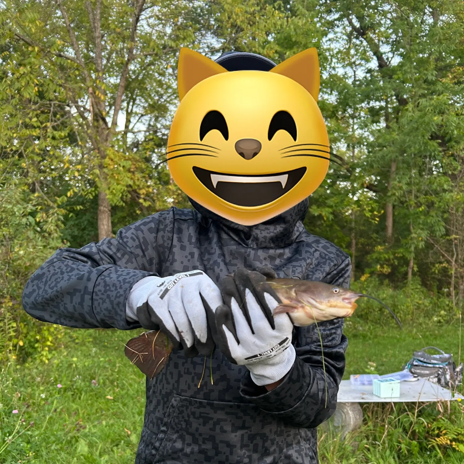 Black bullhead caught on Fishbrain