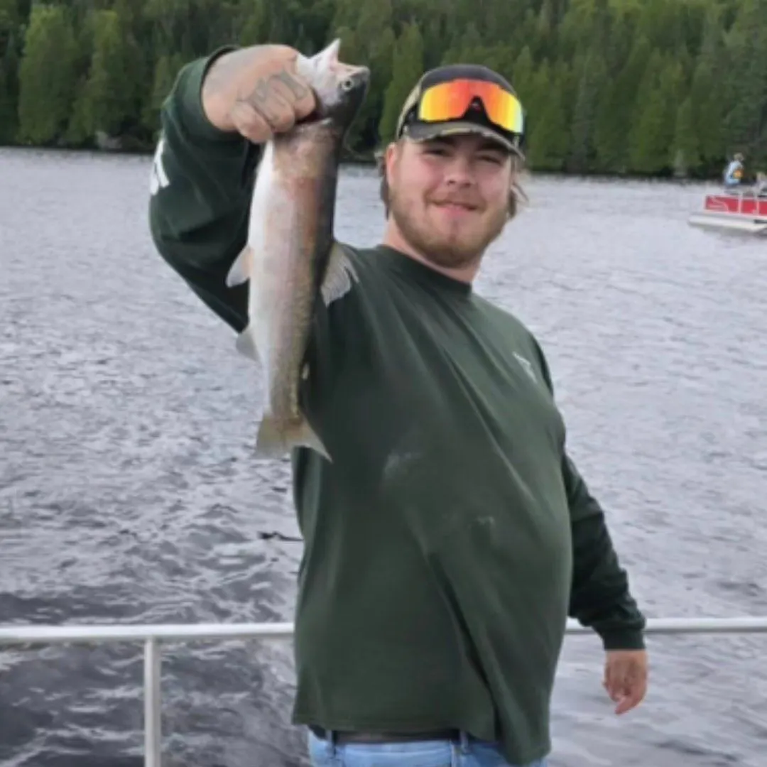 Brook trout caught on Fishbrain