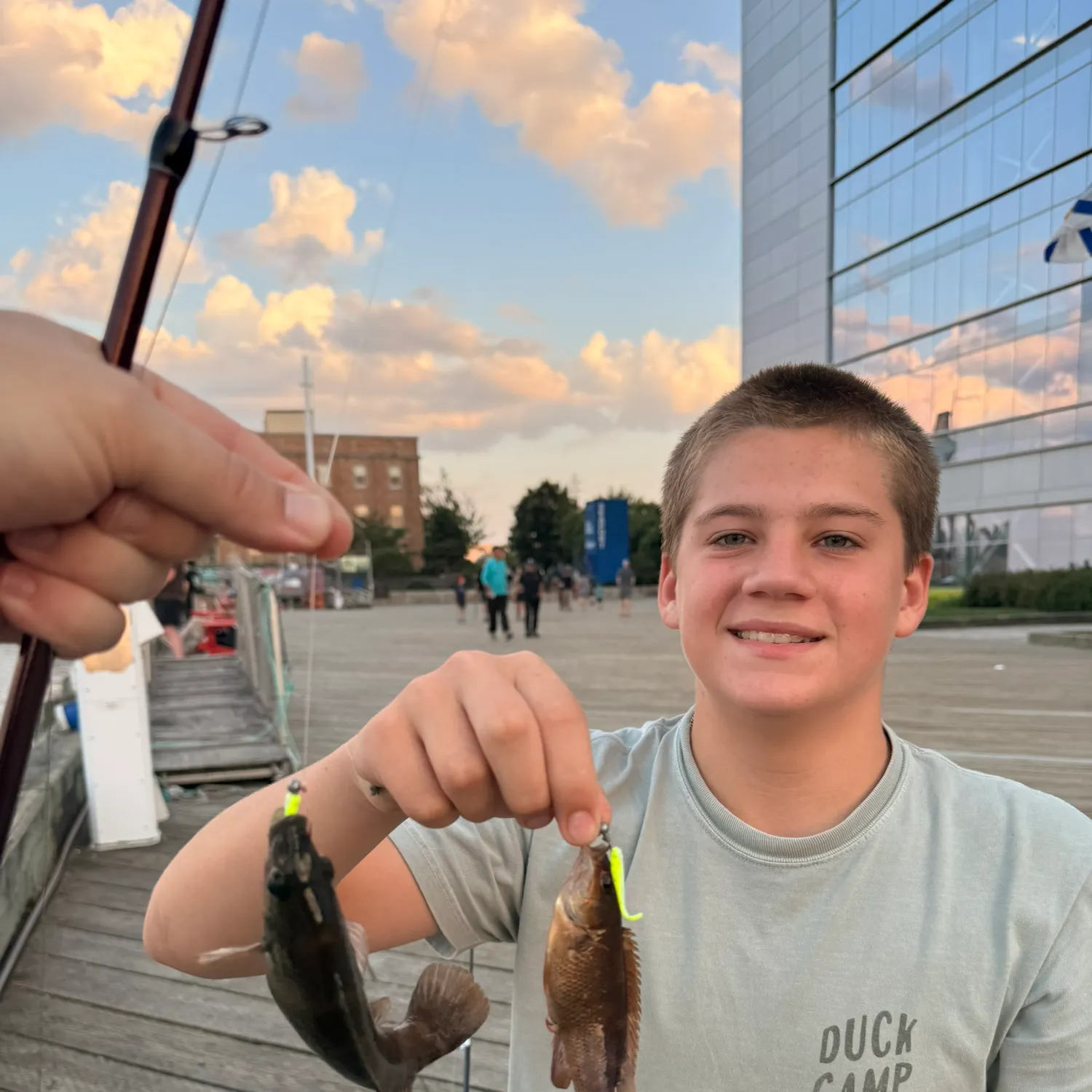 The most recent Redstripe rockfish catches on Fishbrain