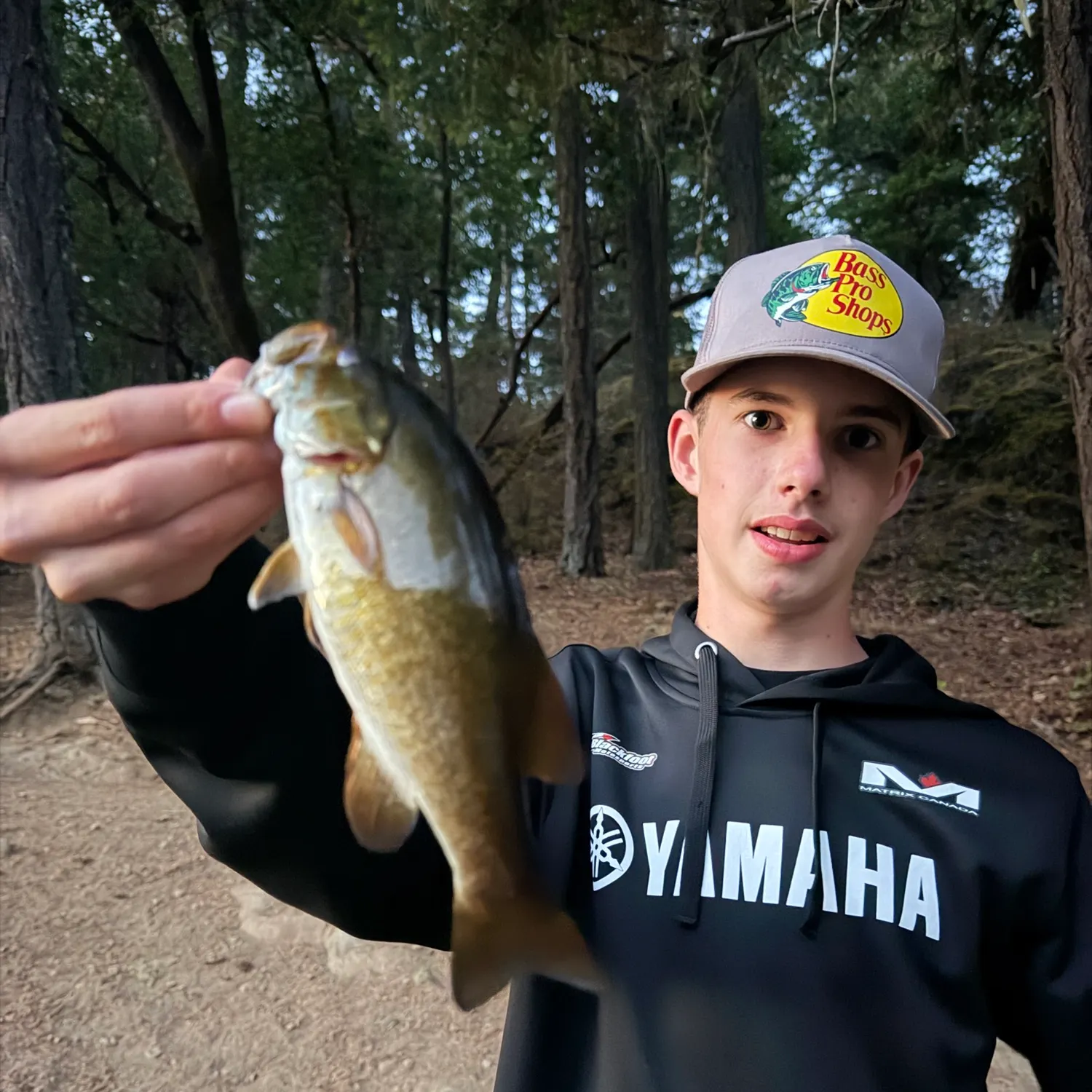 Smallmouth bass caught on Fishbrain