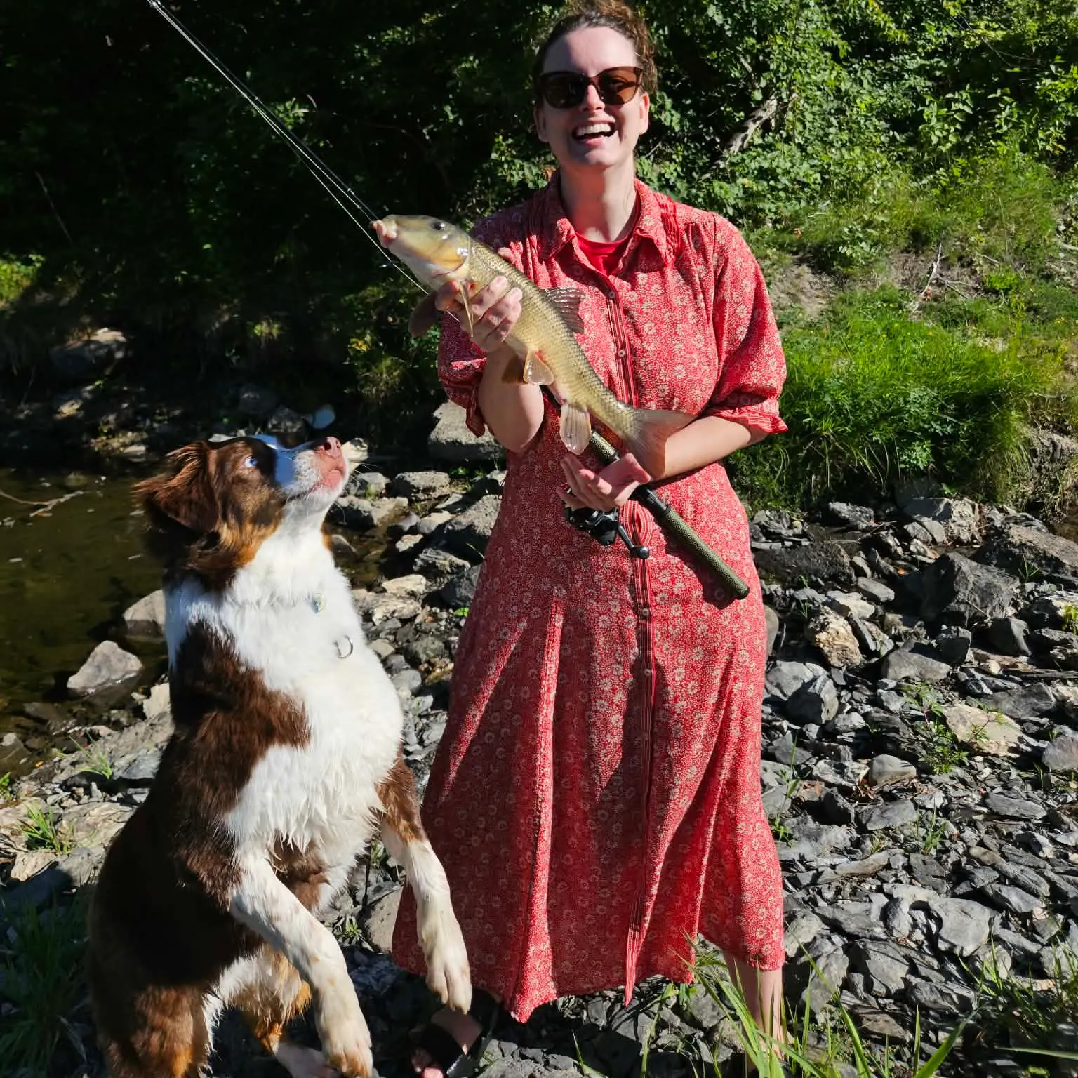 The most recent Silver redhorse catches on Fishbrain