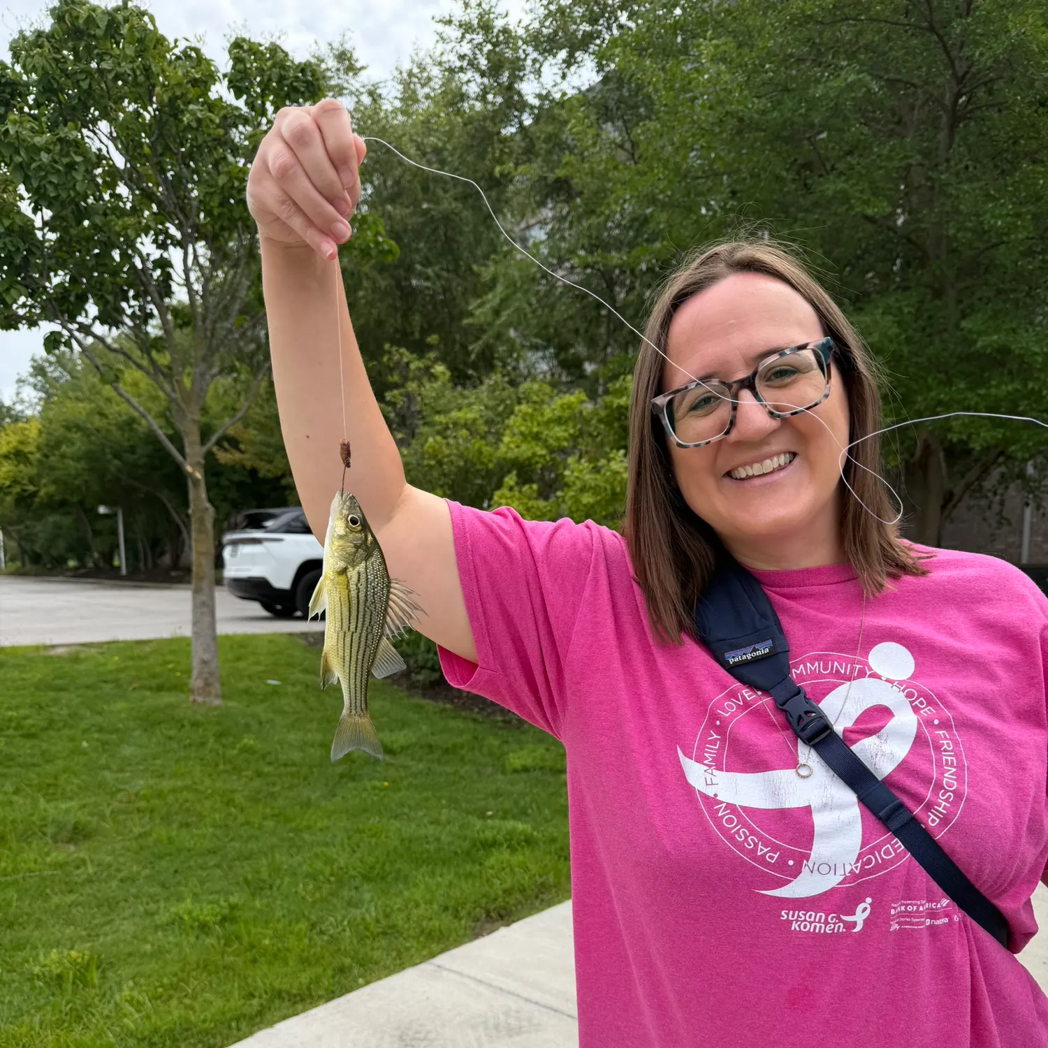 Yellow bass caught on Fishbrain
