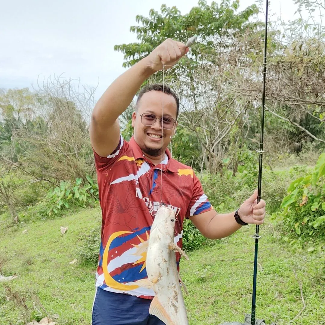 The most recent Spot pangasius catches on Fishbrain