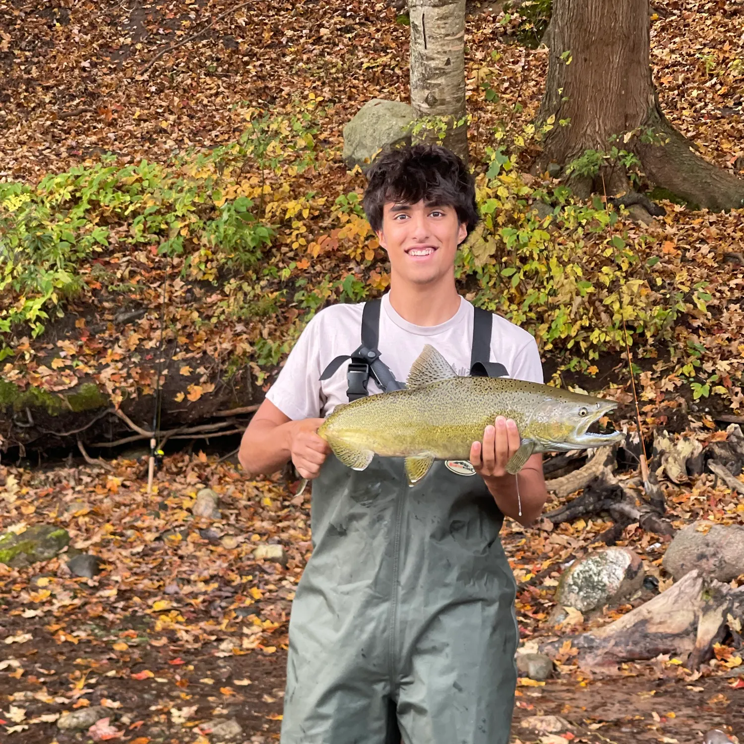 Chinook salmon caught on Fishbrain