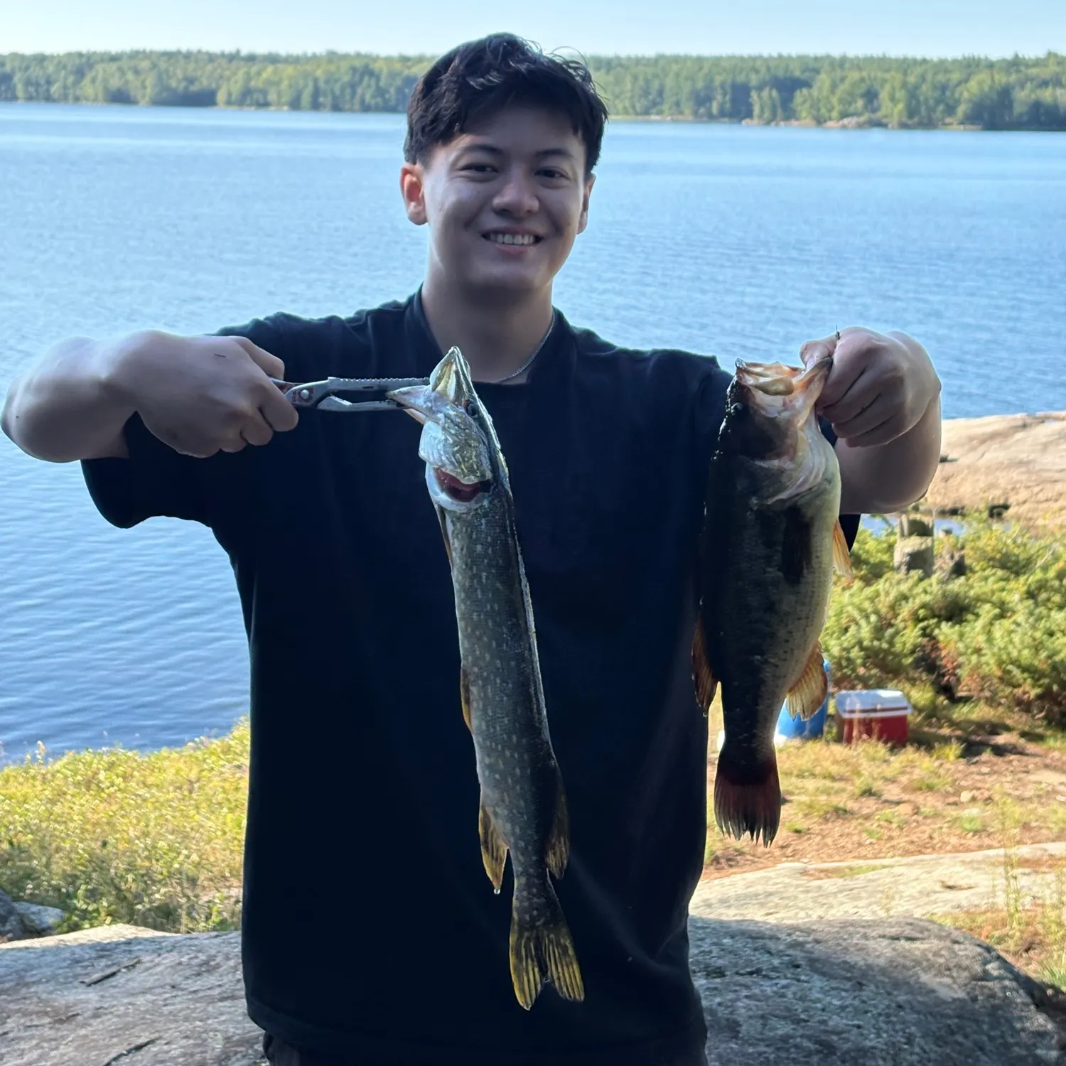 Northern pike caught on Fishbrain