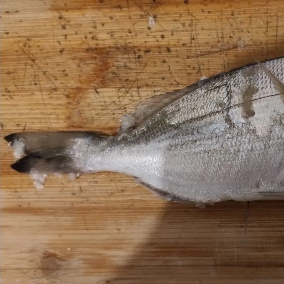 Gilthead seabream caught on Fishbrain