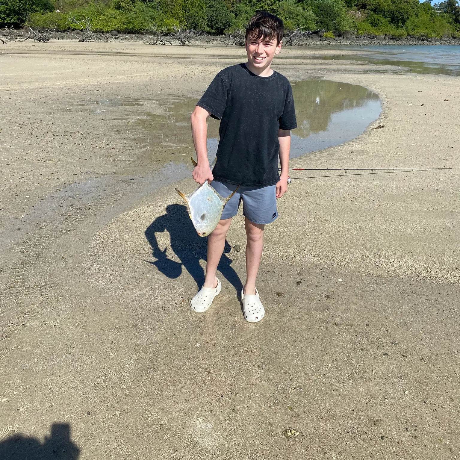 The most recent Largespotted dart catches on Fishbrain