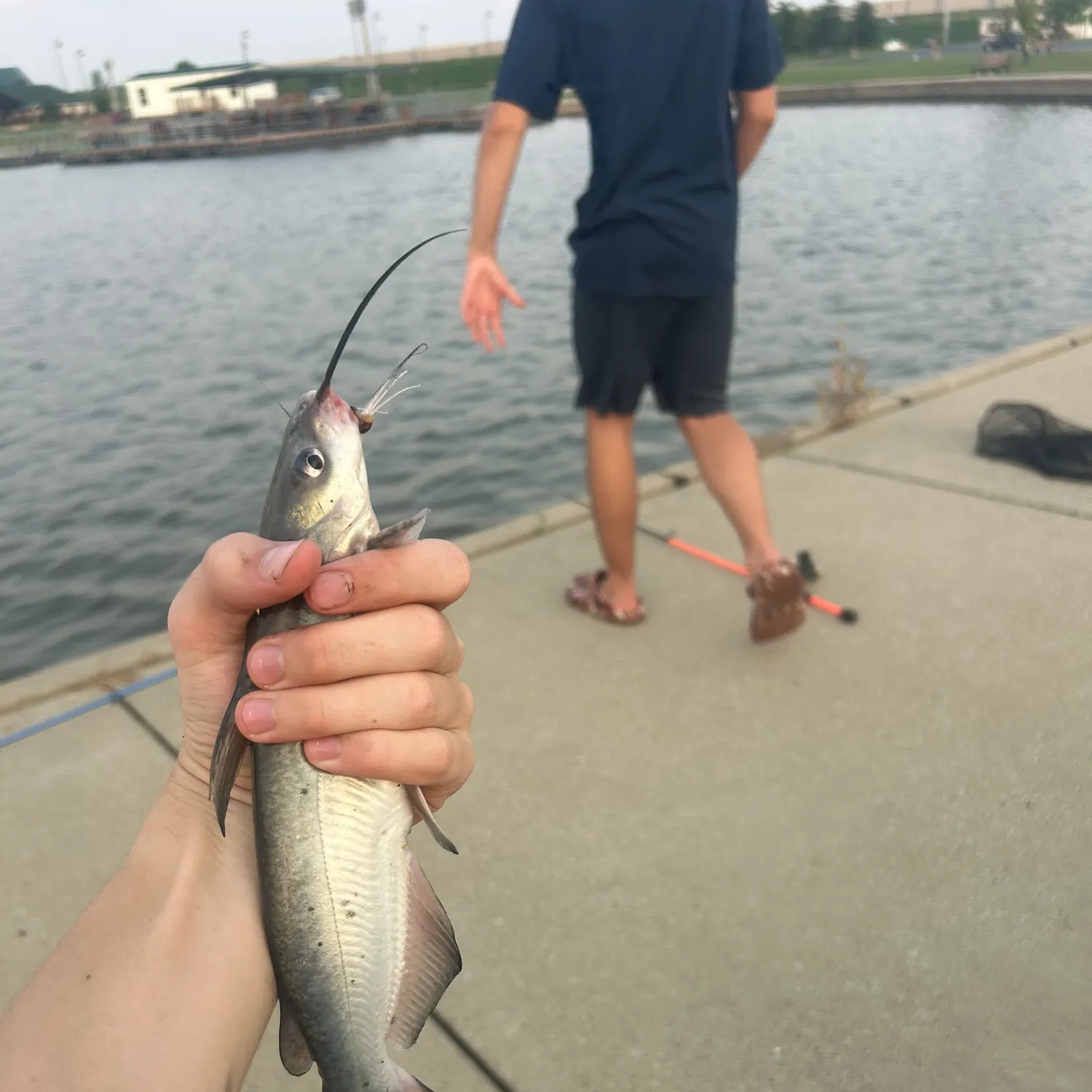 catch