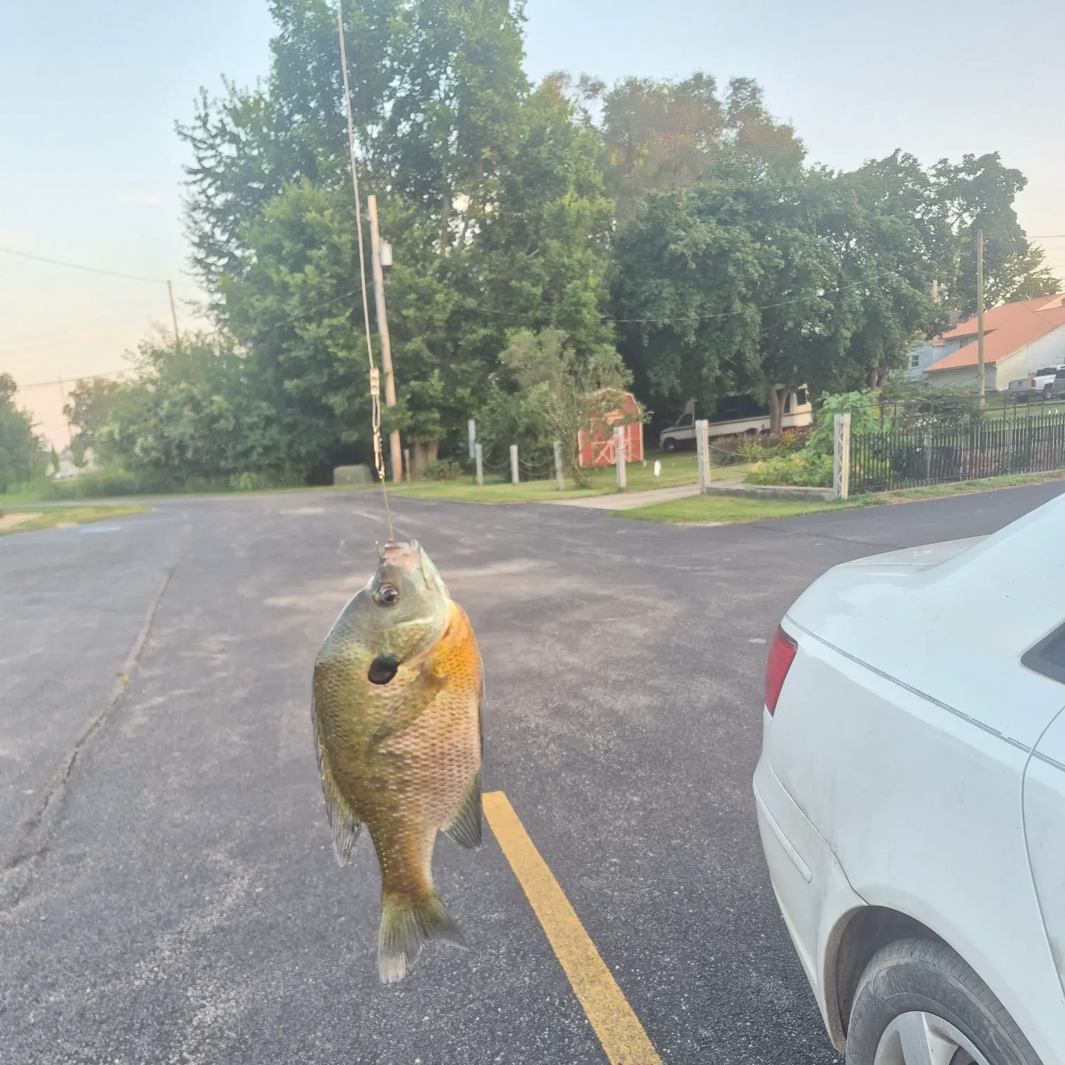 catch