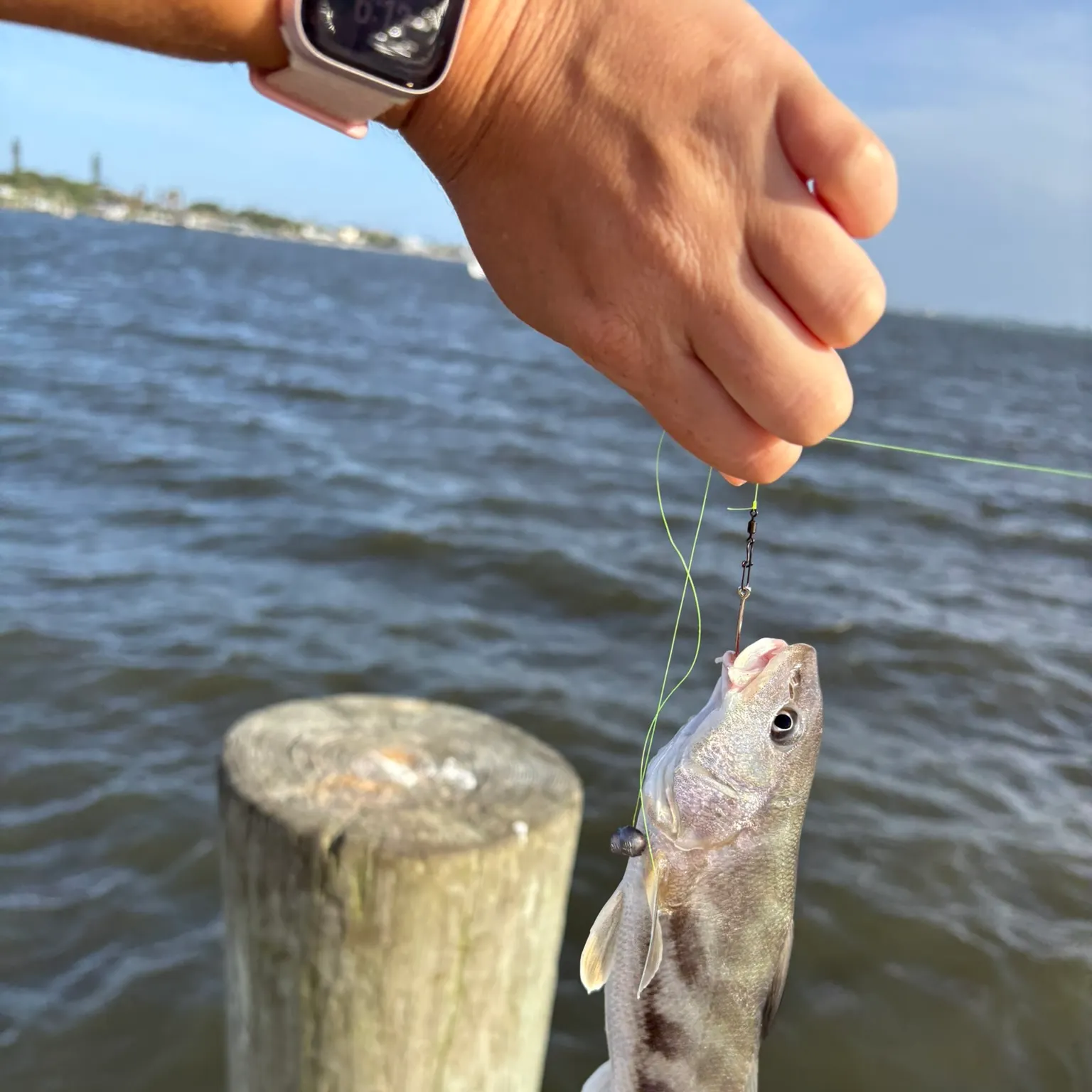 catch