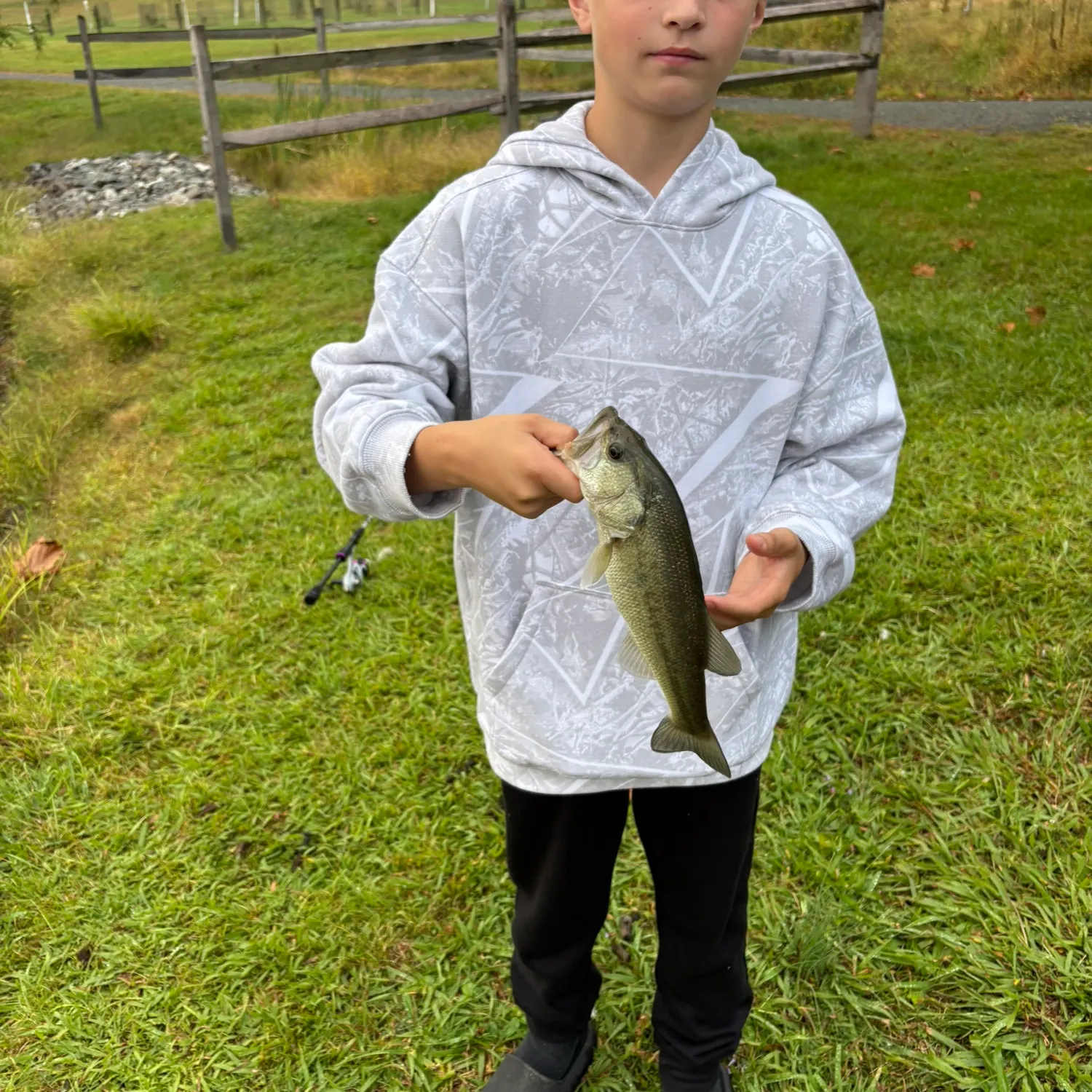 Bonnethead shark caught on Fishbrain