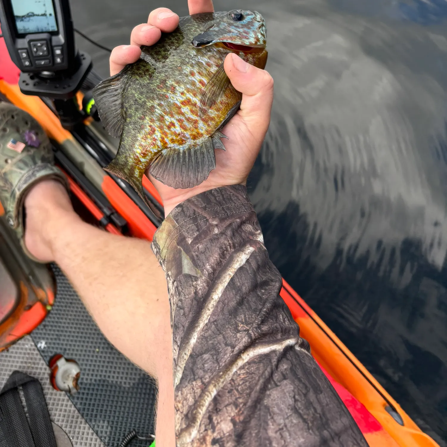 The most recent Pumpkinseed catches on Fishbrain