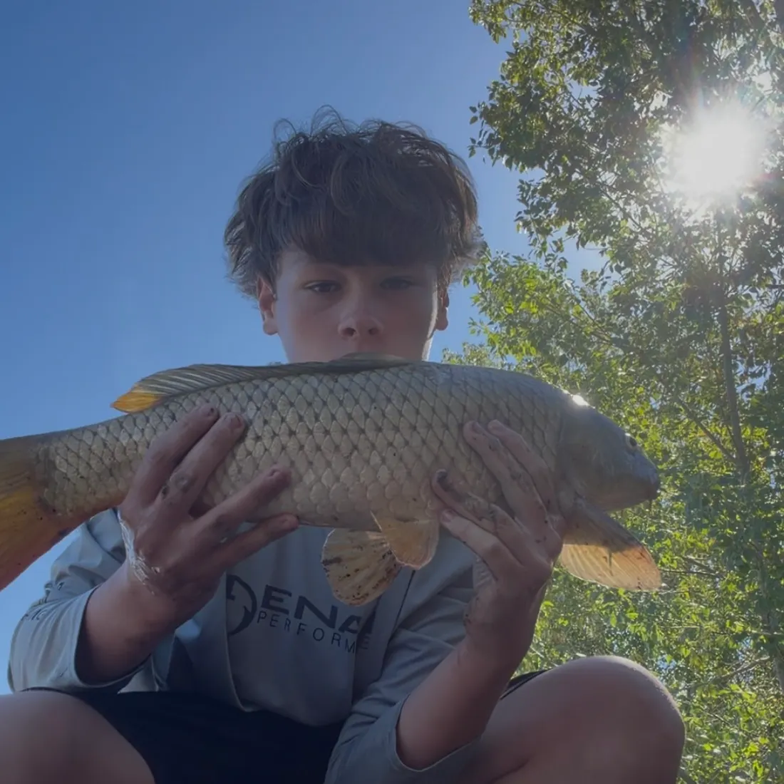 Common carp caught on Fishbrain