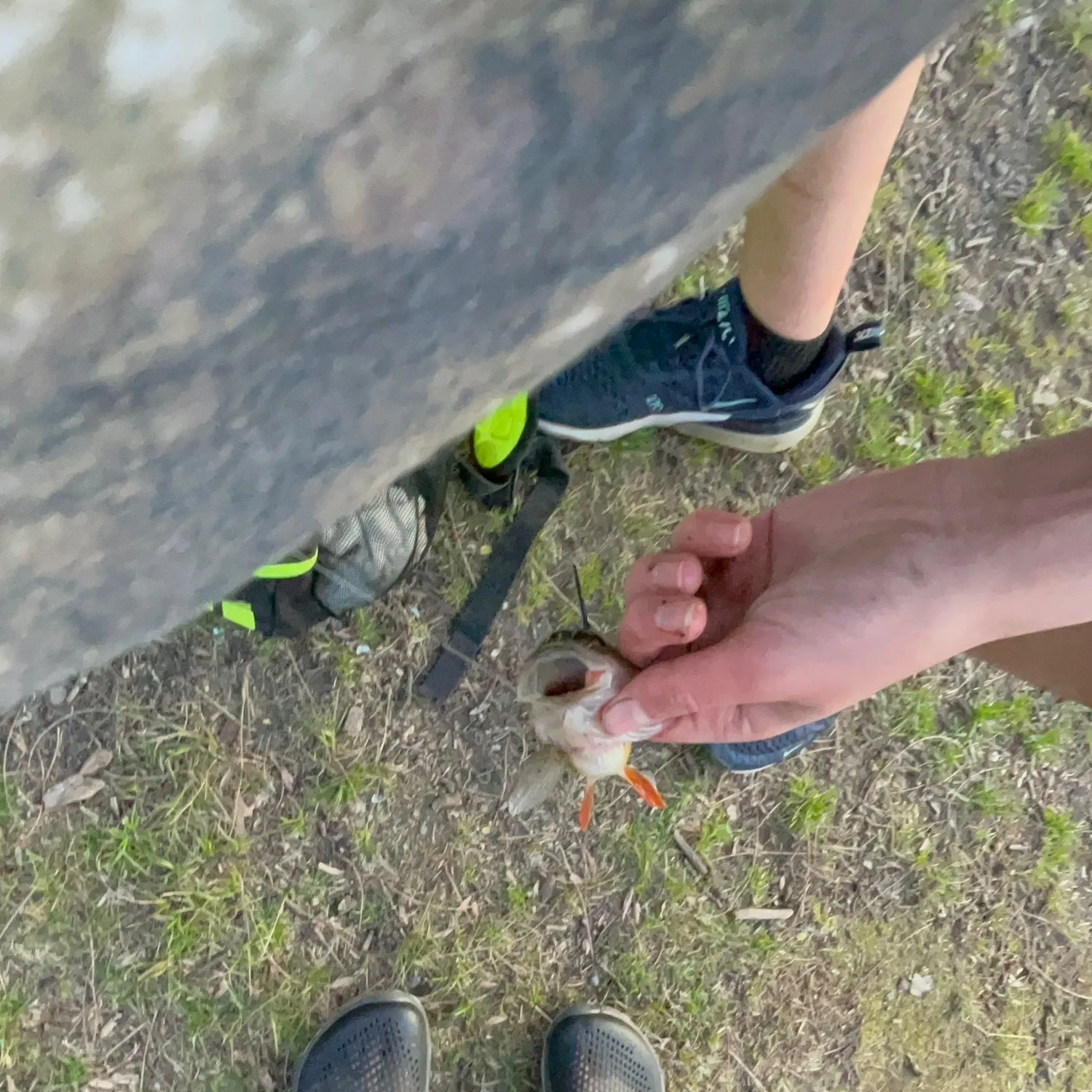catch