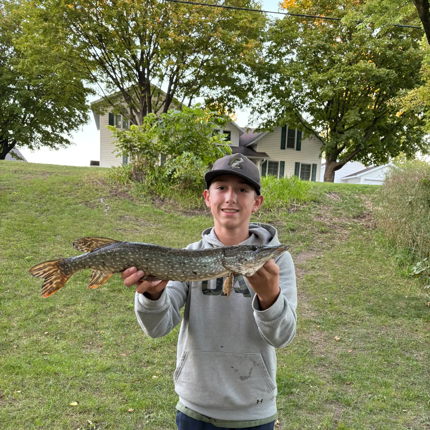 Northern pike caught on Fishbrain