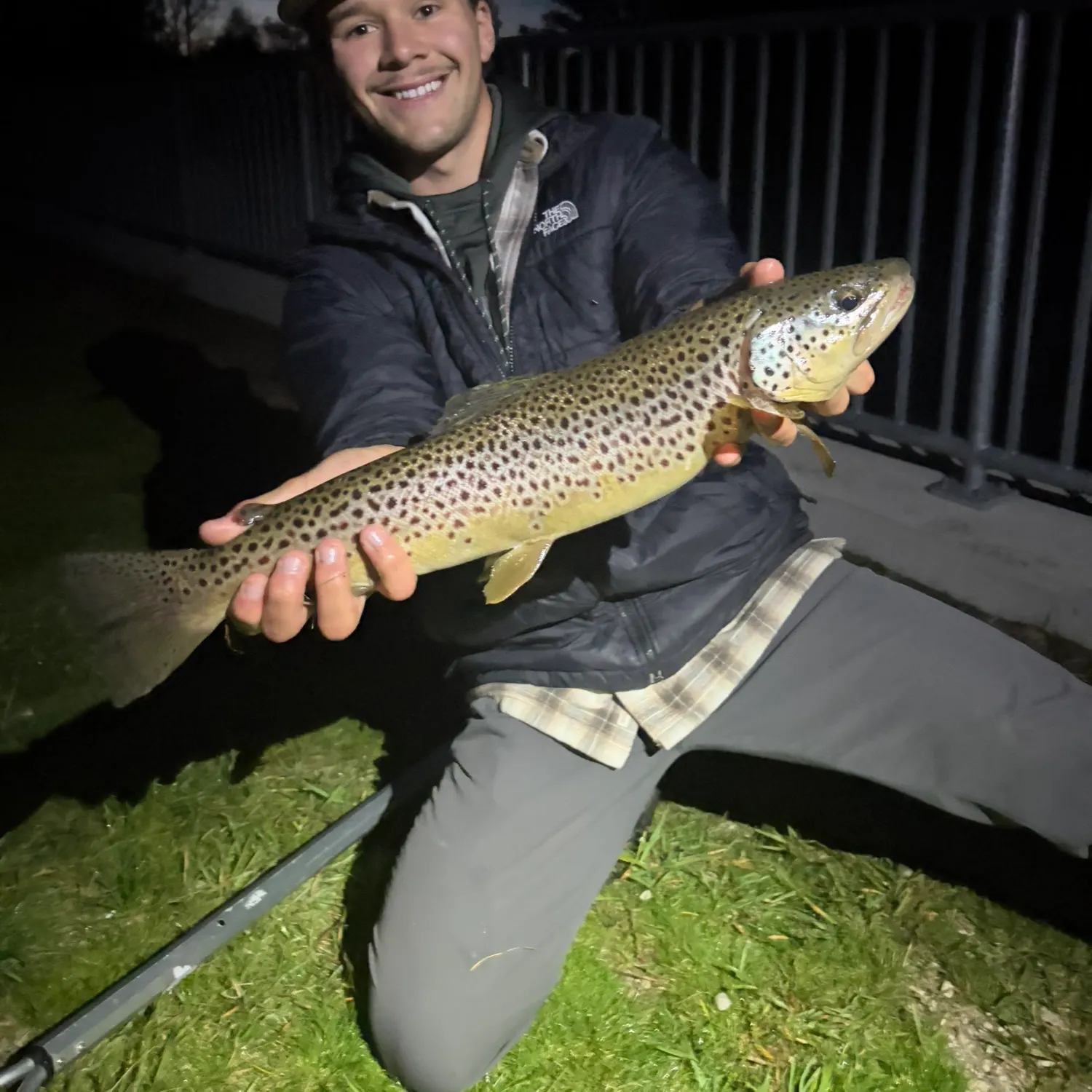 Brown trout caught on Fishbrain