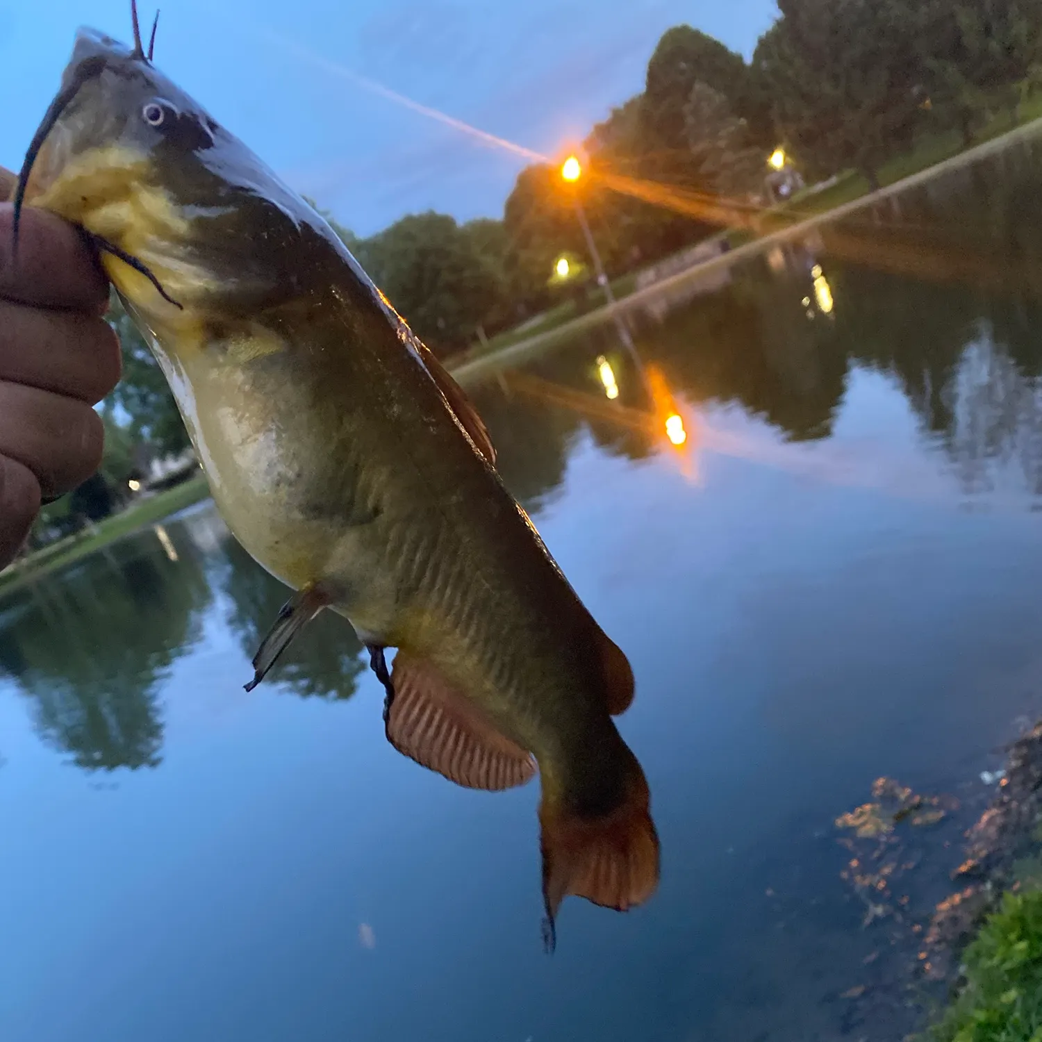catch