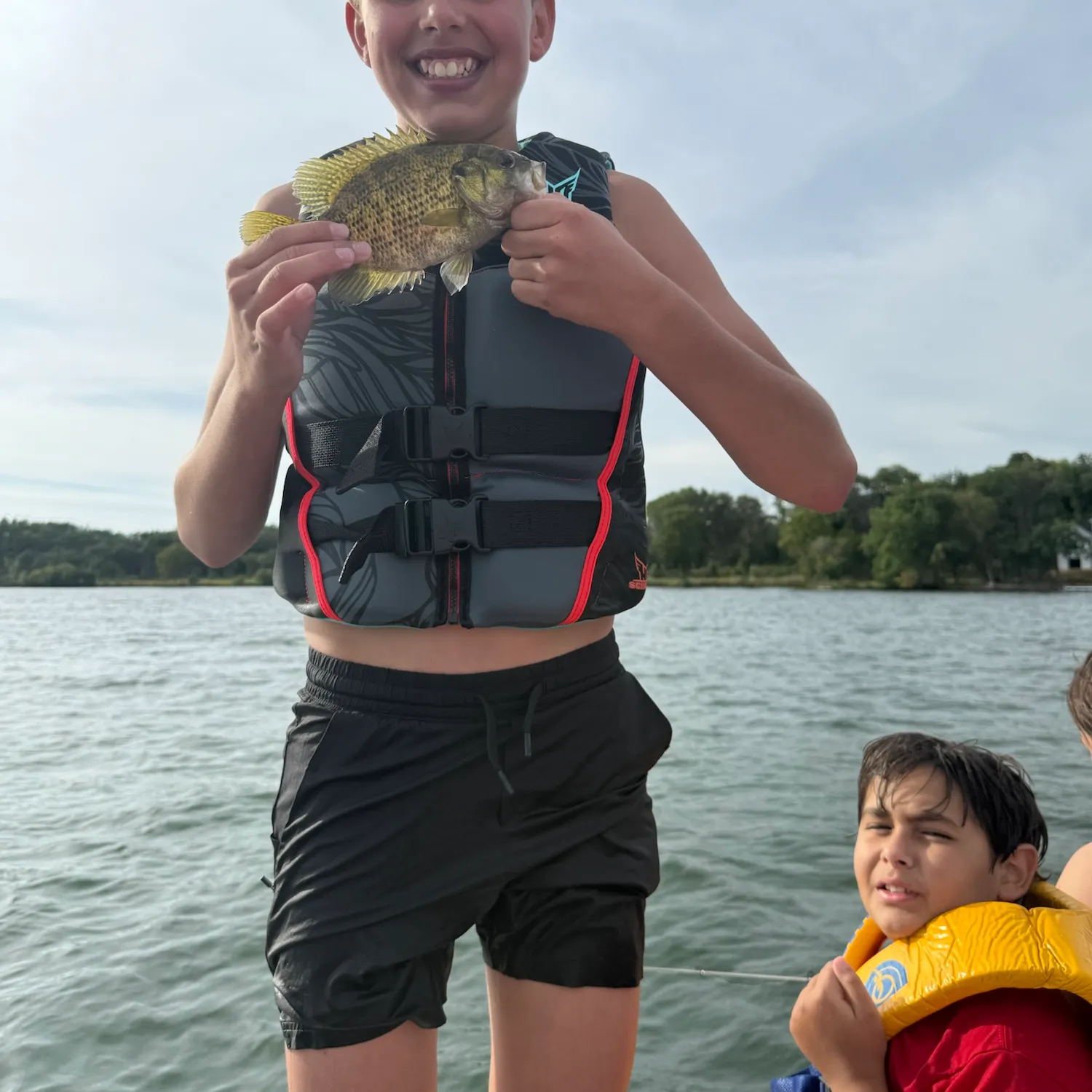 Rock bass caught on Fishbrain