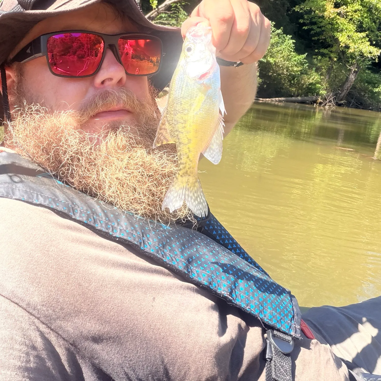 White crappie caught on Fishbrain