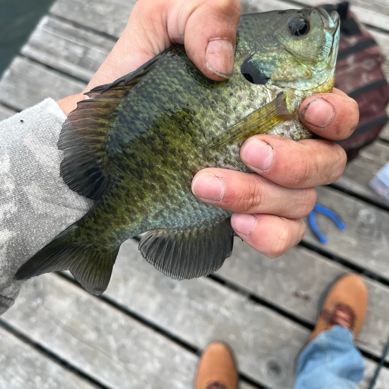 catch