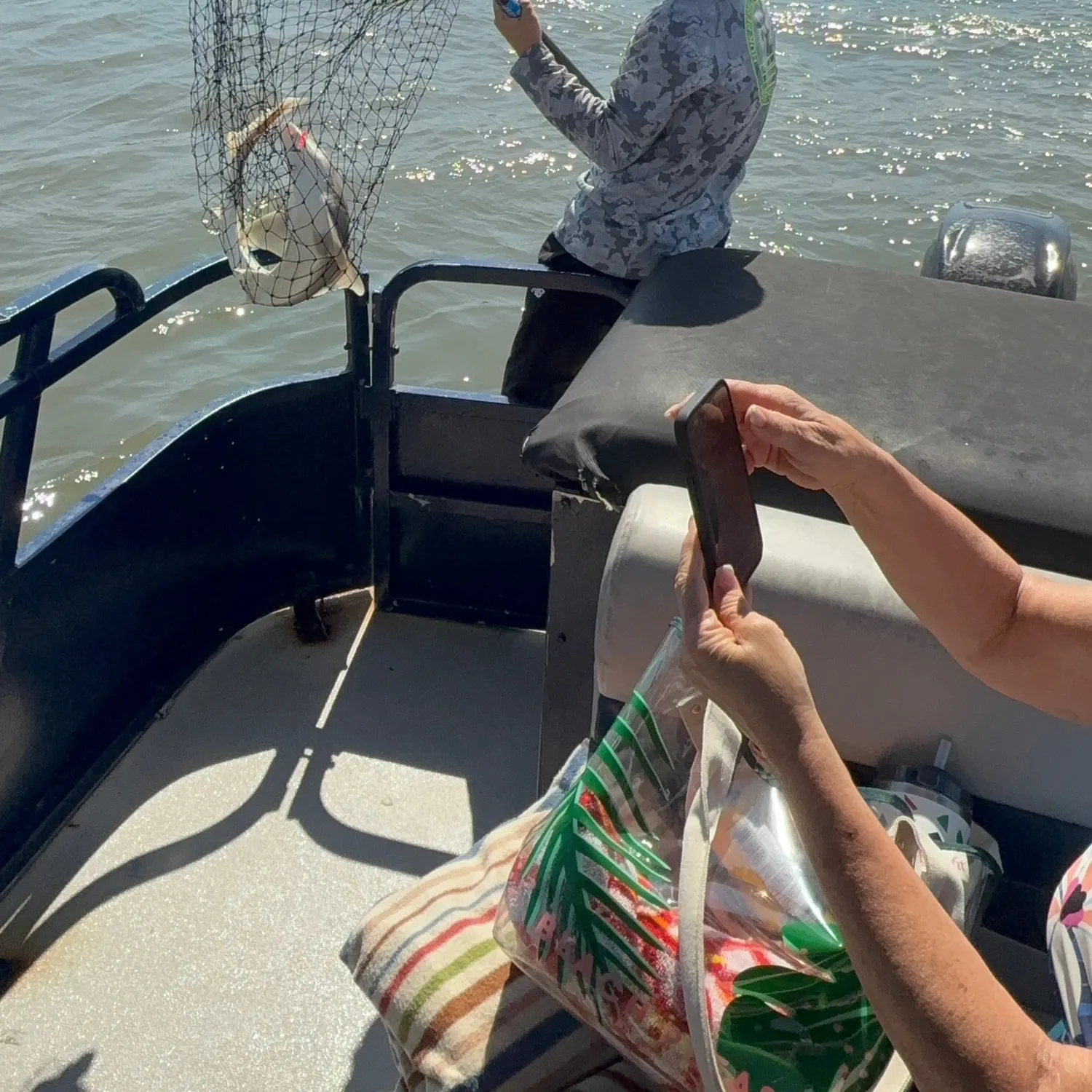 The most recent Sandbar shark catches on Fishbrain