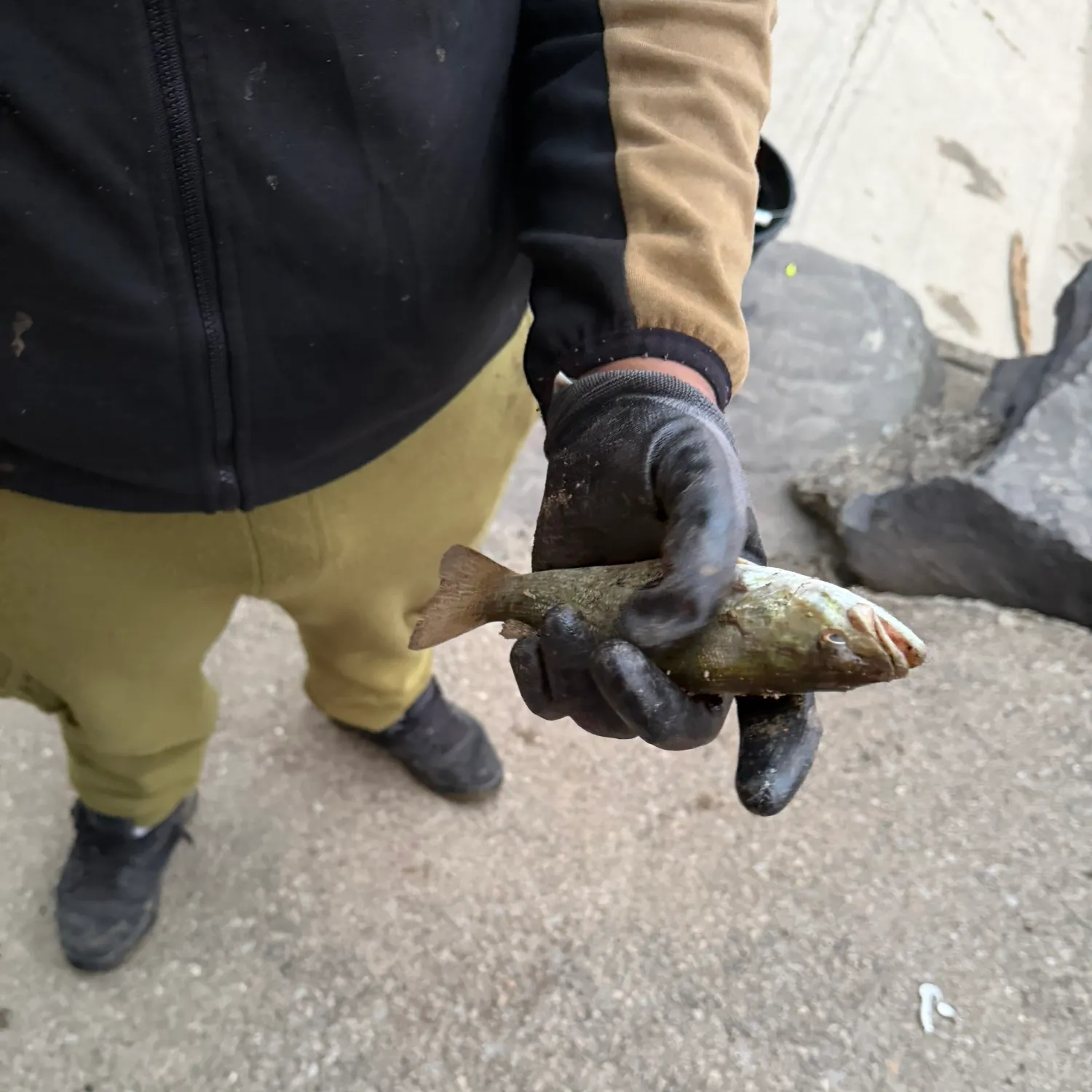 catch