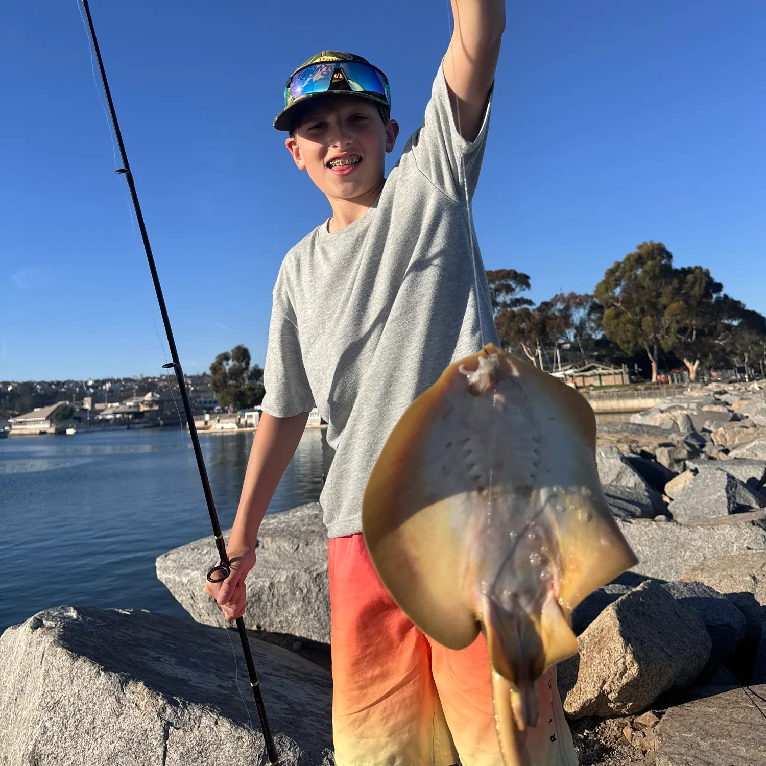 The most recent Haller's round ray catches on Fishbrain