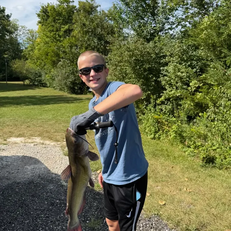 Flathead catfish caught on Fishbrain