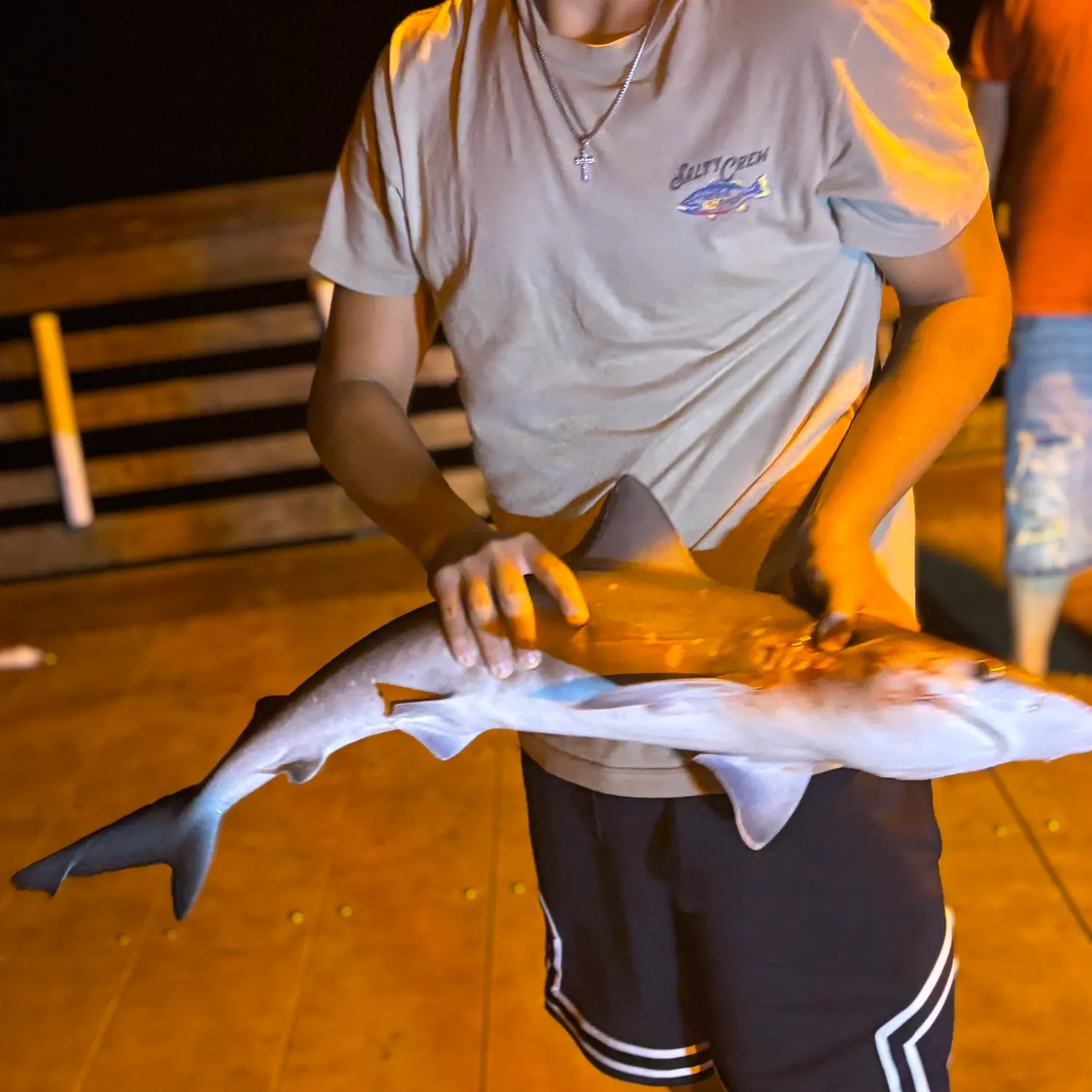 The most recent Oceanic whitetip shark catches on Fishbrain