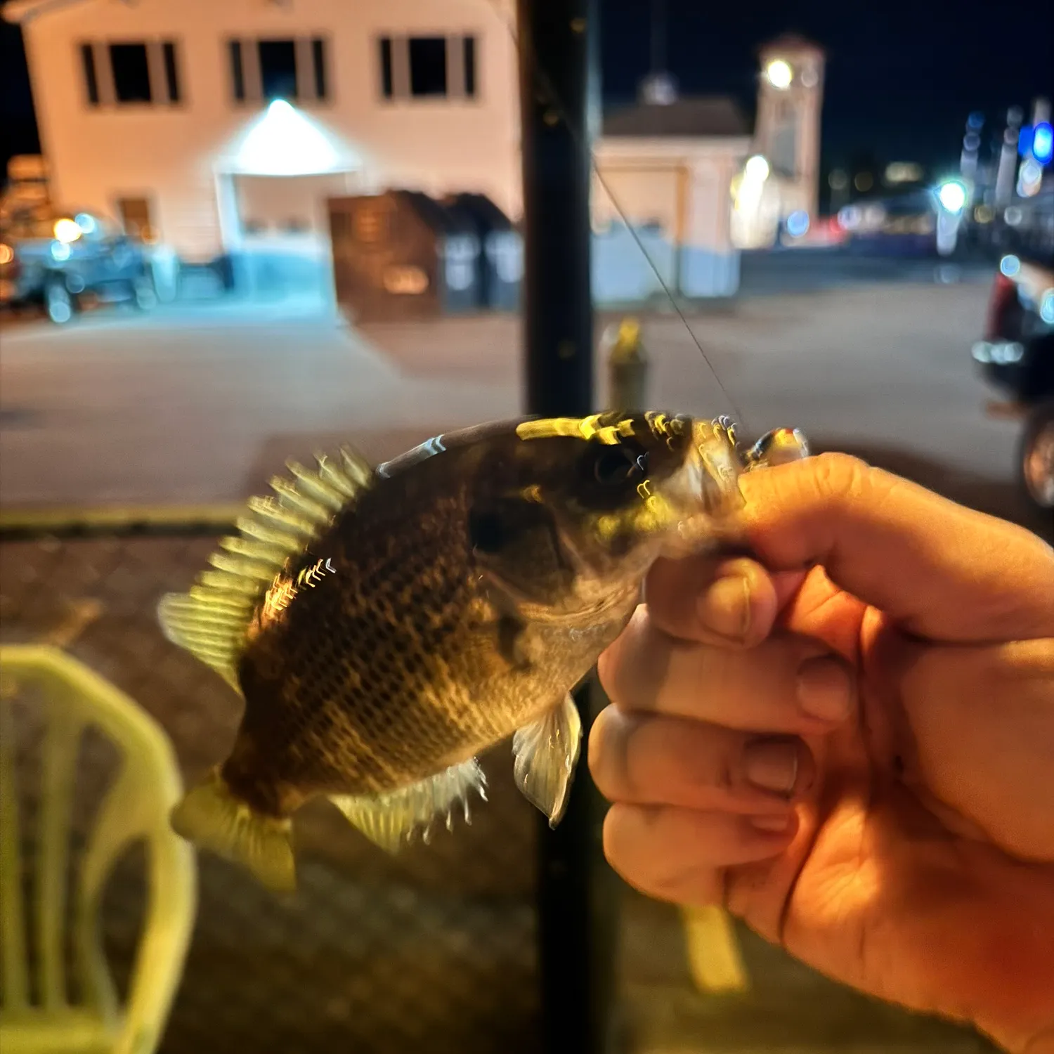 catch
